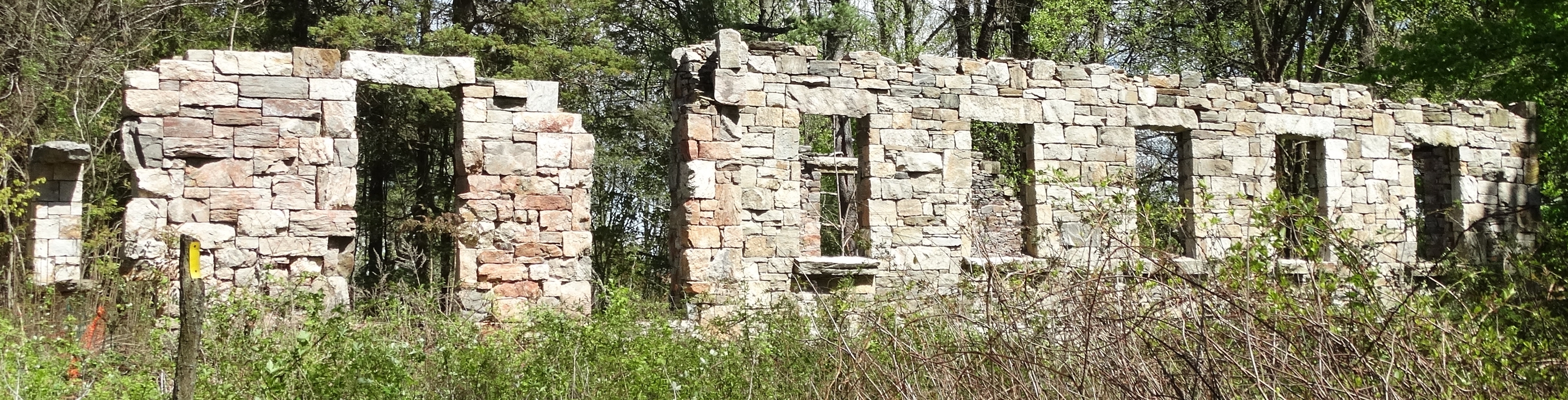 DSC00820