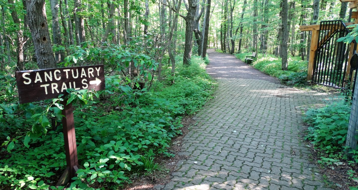Hawk Mountain Sanctuary