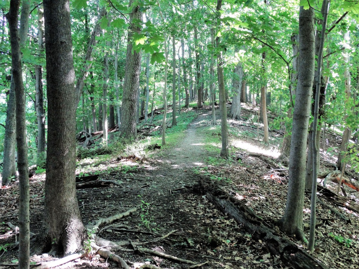 Wappinger Greenway Trail