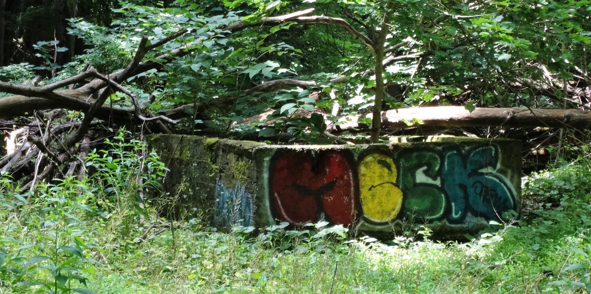 Wappinger Greenway Trail