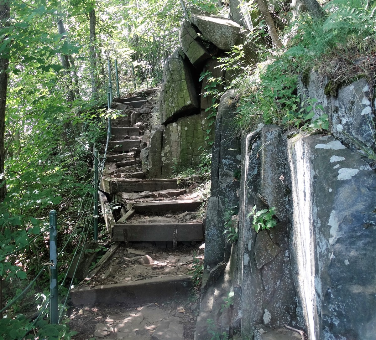 Long Path steps