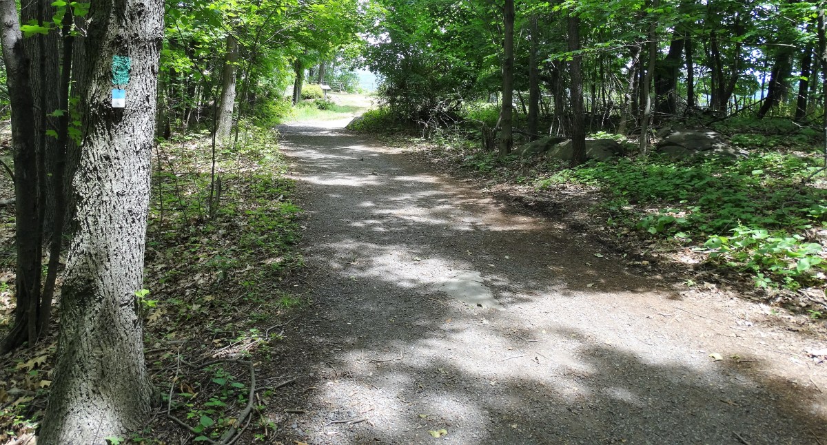 Forest View Trail - Long Path