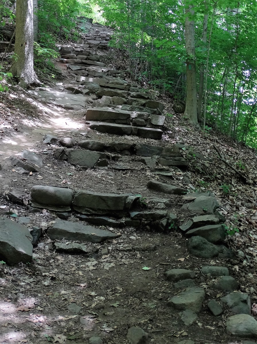 Long Path stairs