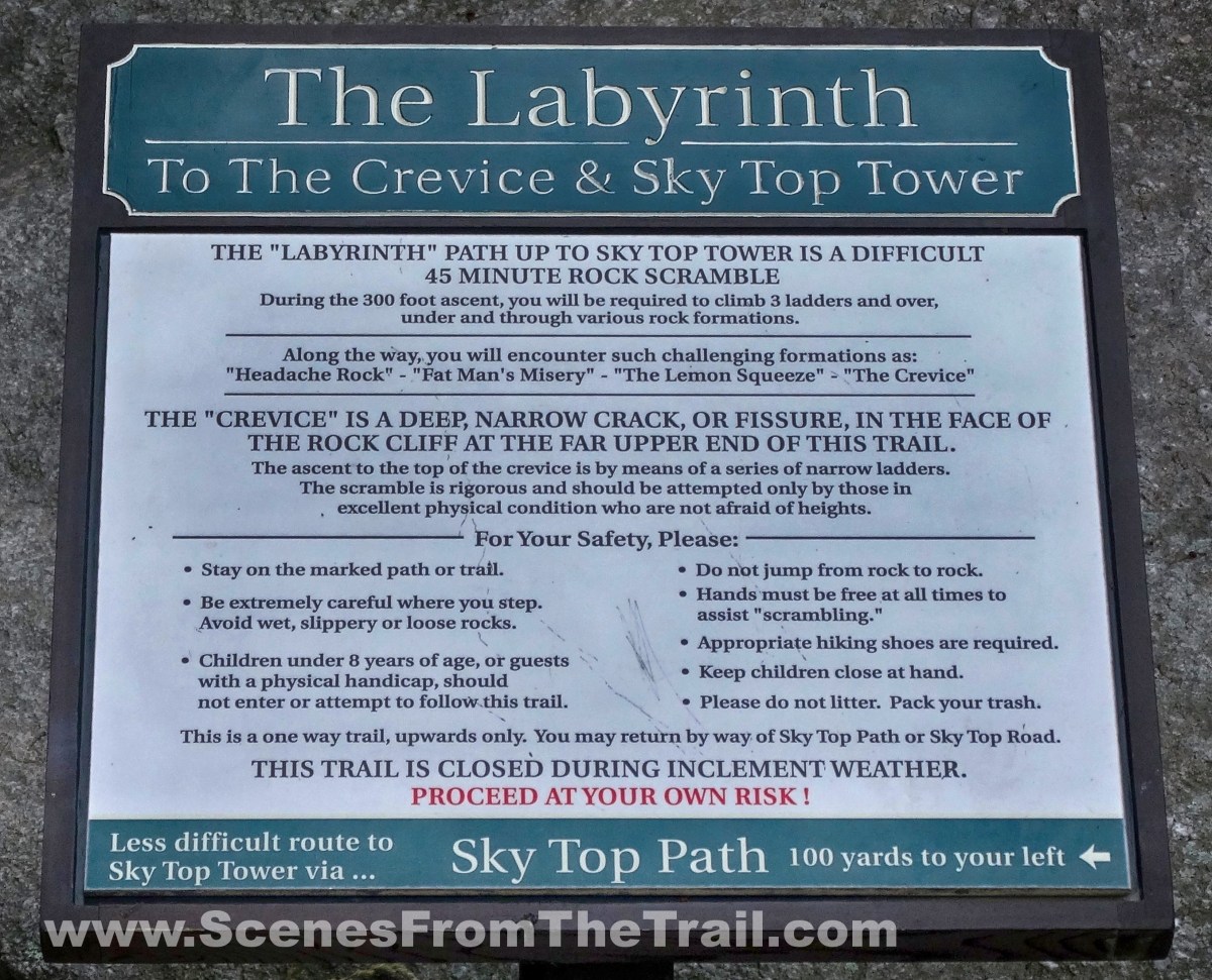 Labyrinth and Lemon Squeeze