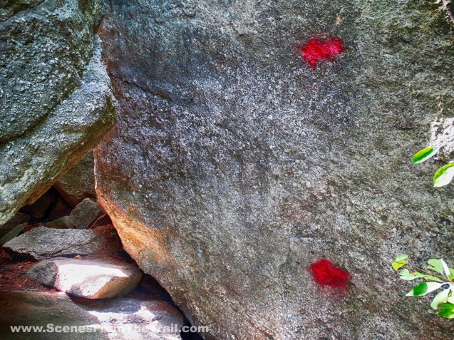 Labyrinth and Lemon Squeeze Trail