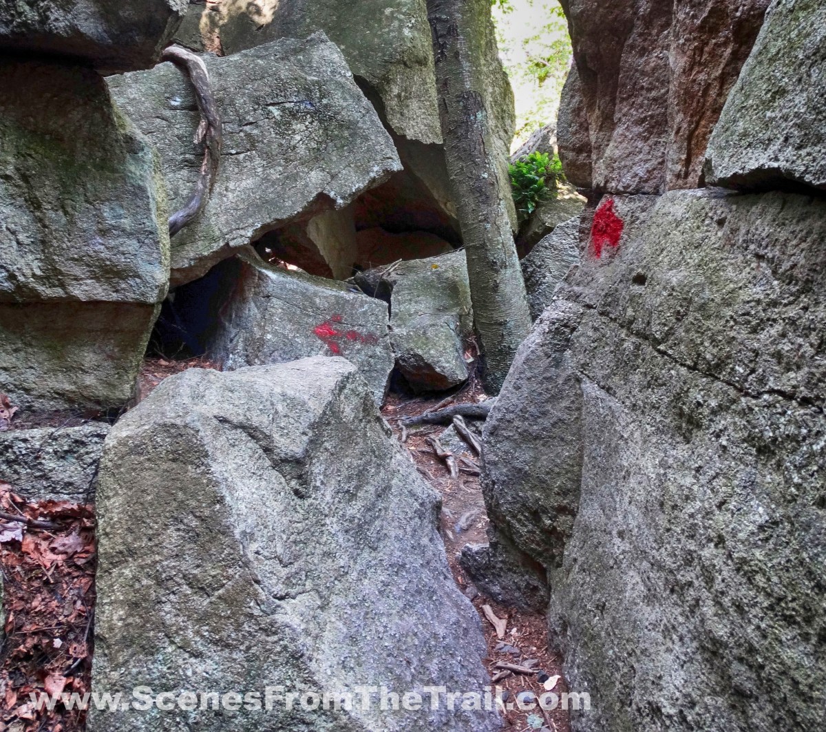 Labyrinth and Lemon Squeeze Trail