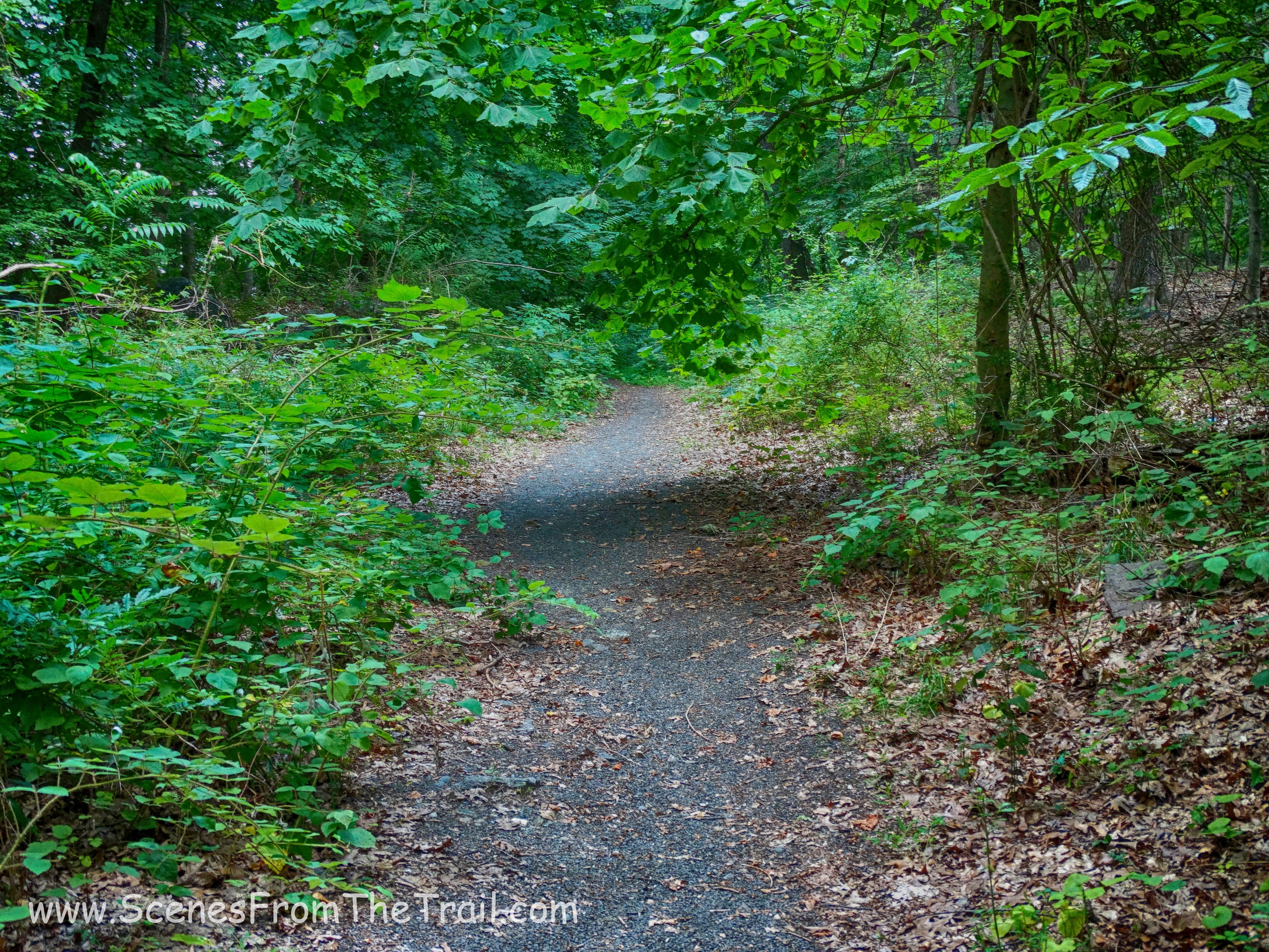 woods road