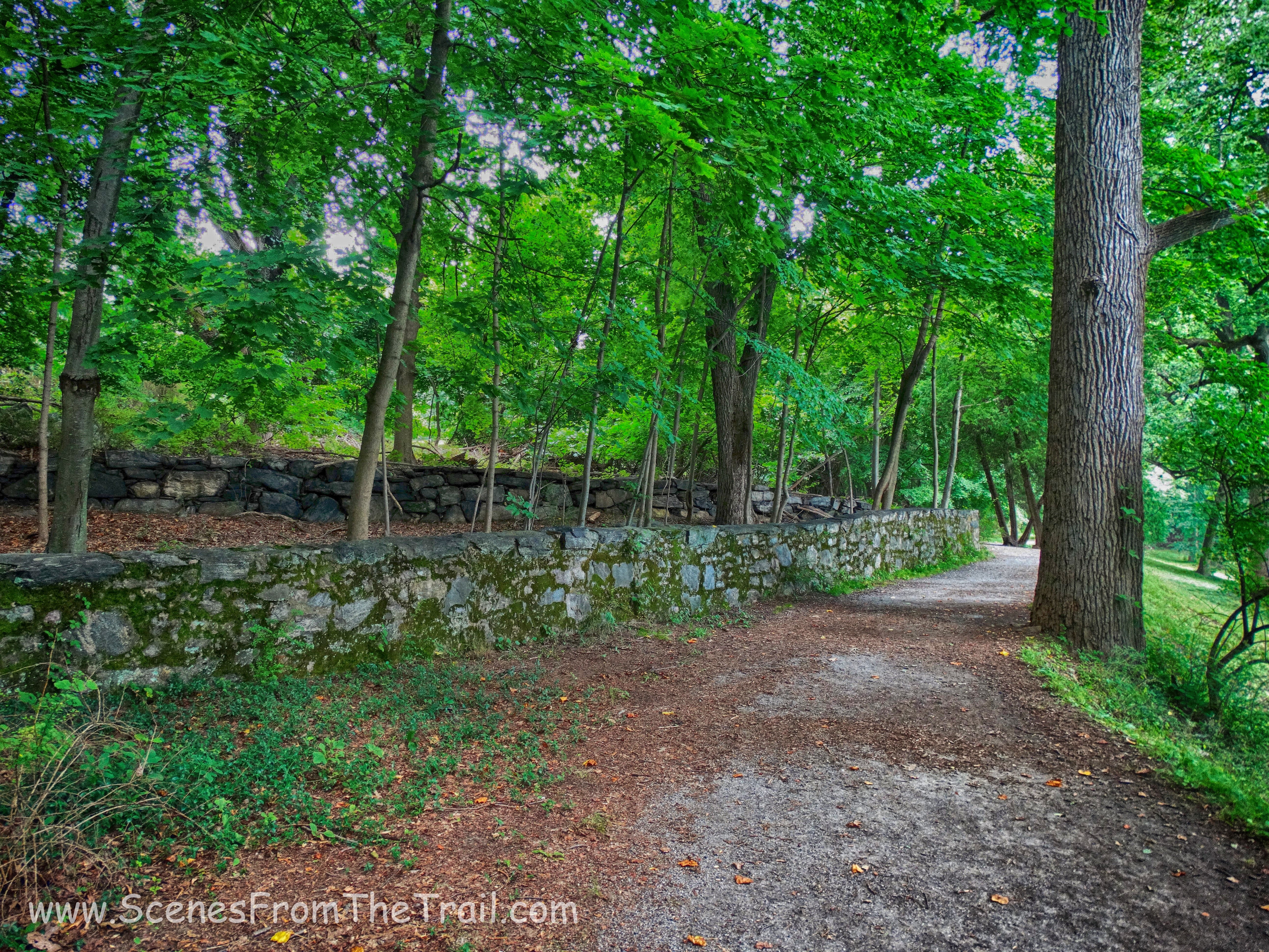 trail around the pond