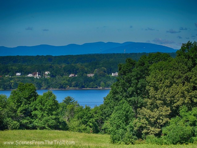 view from the gazebo