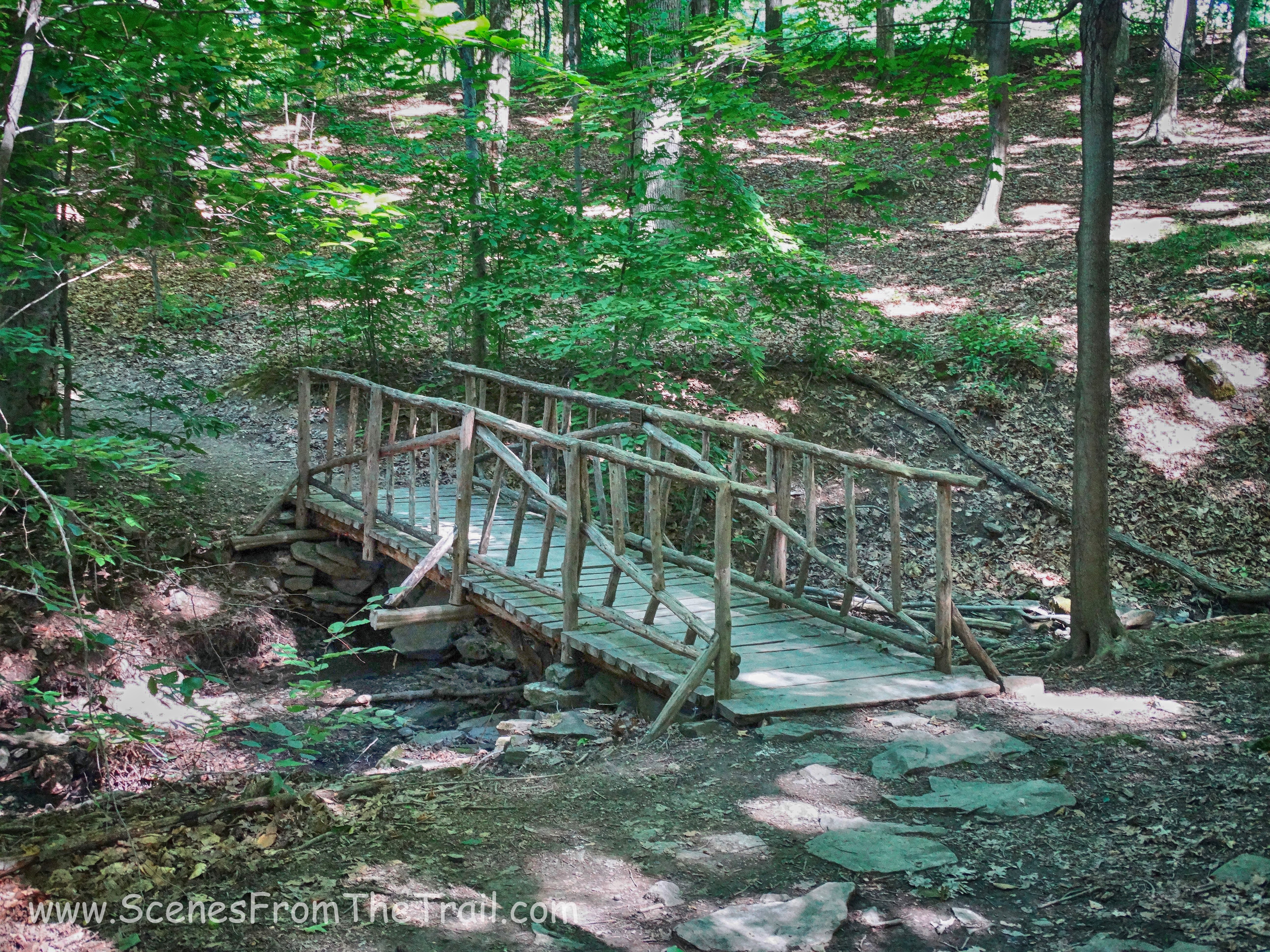 wooden bridge