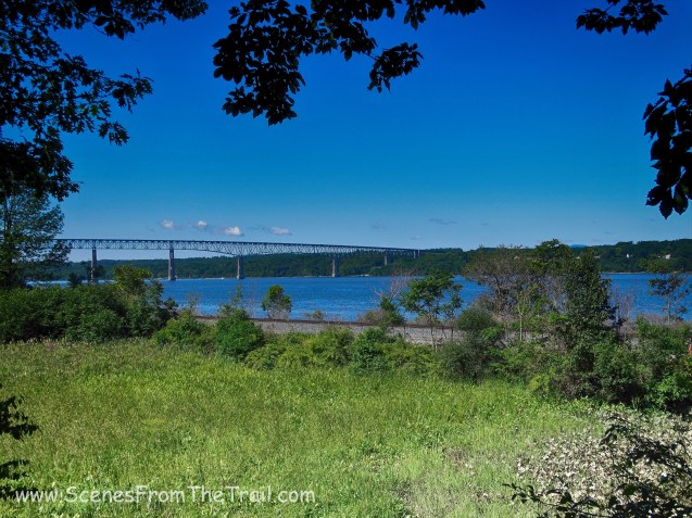 view from the summer house