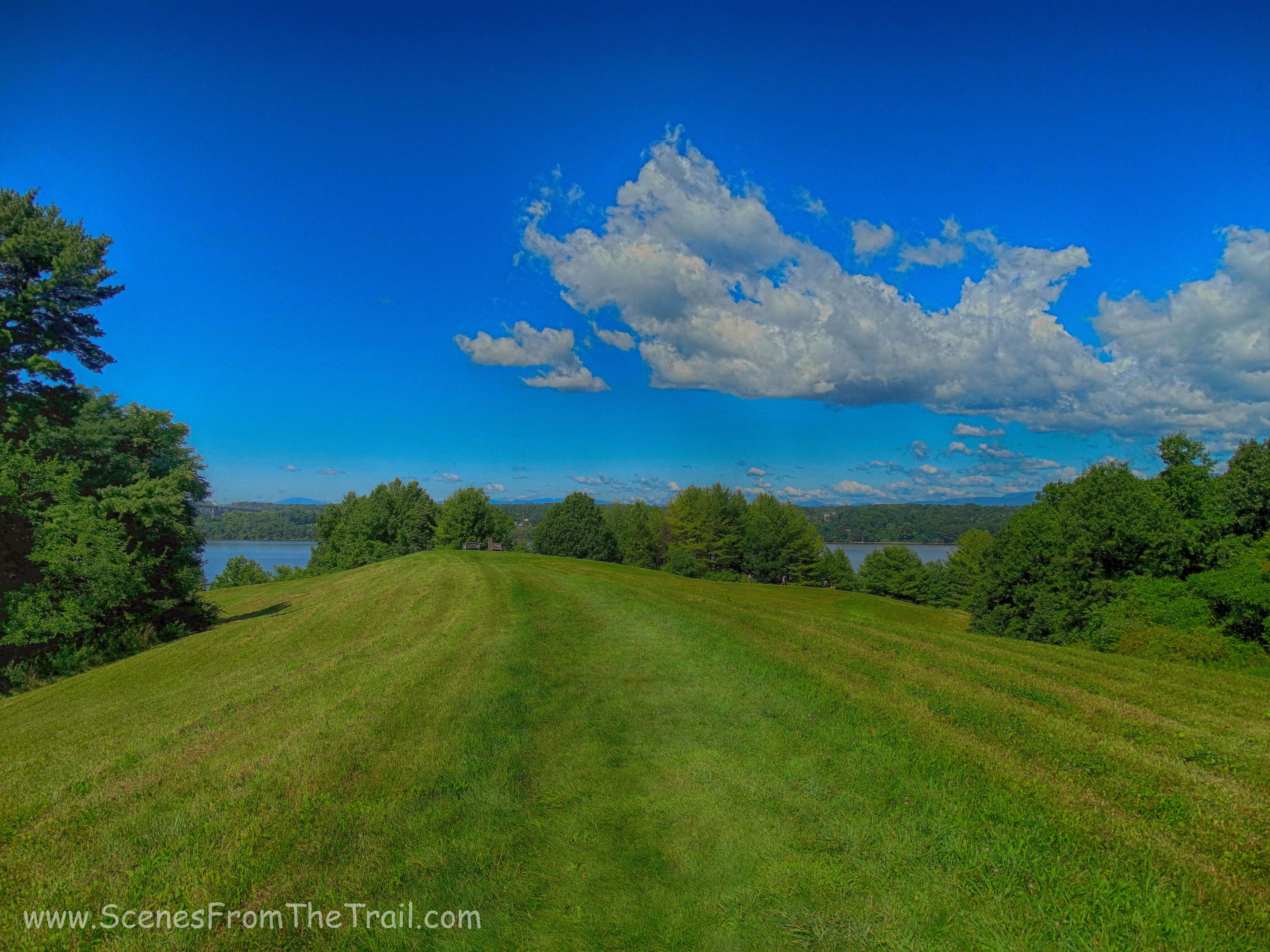 grassy hill