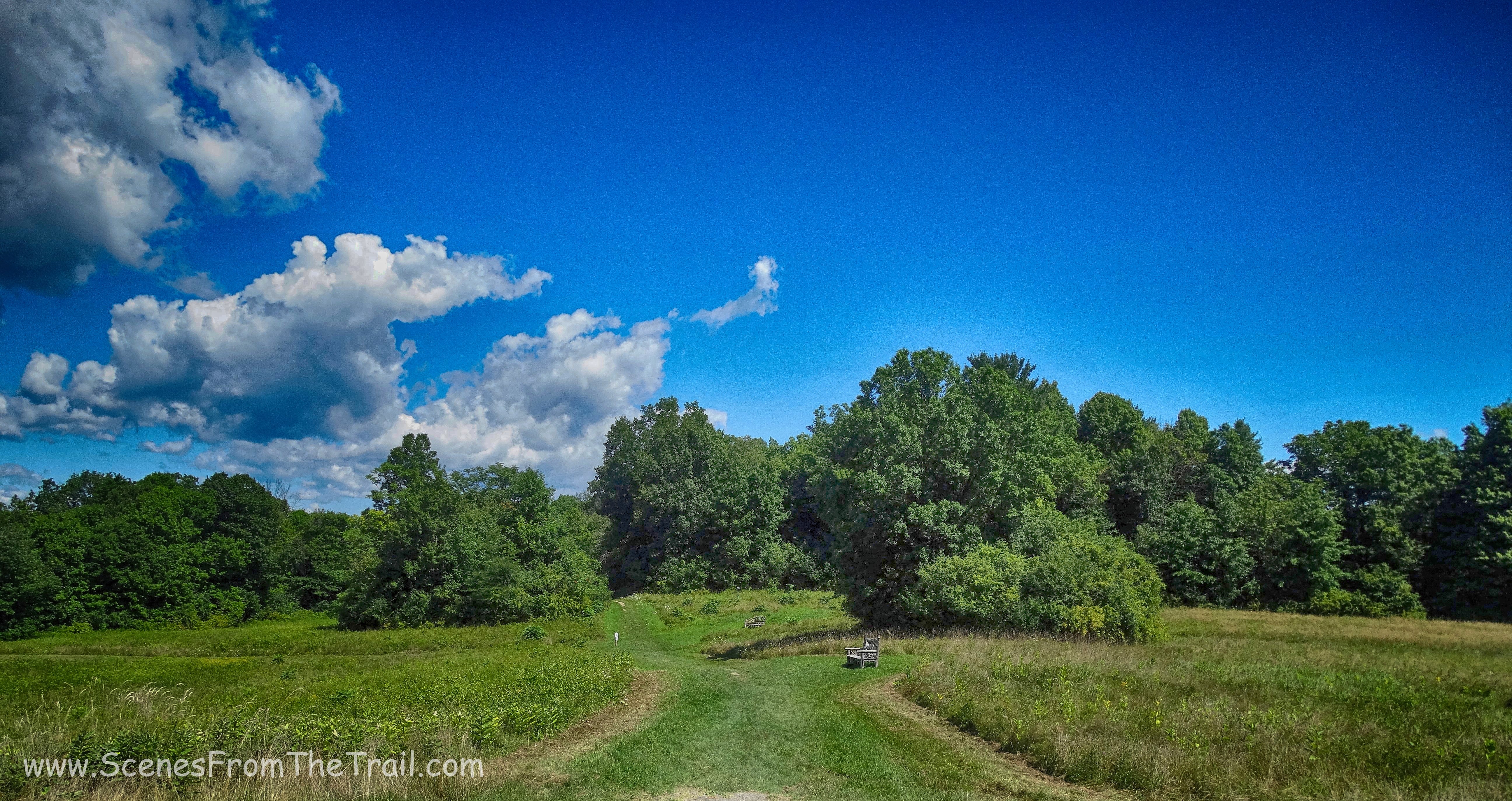 wide mowed path