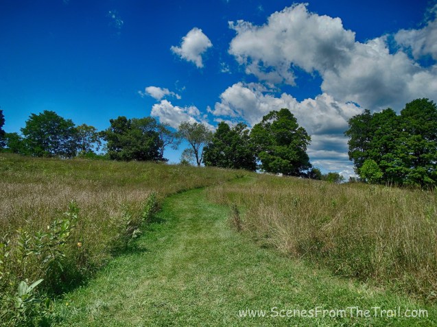Burger Hill summit trail