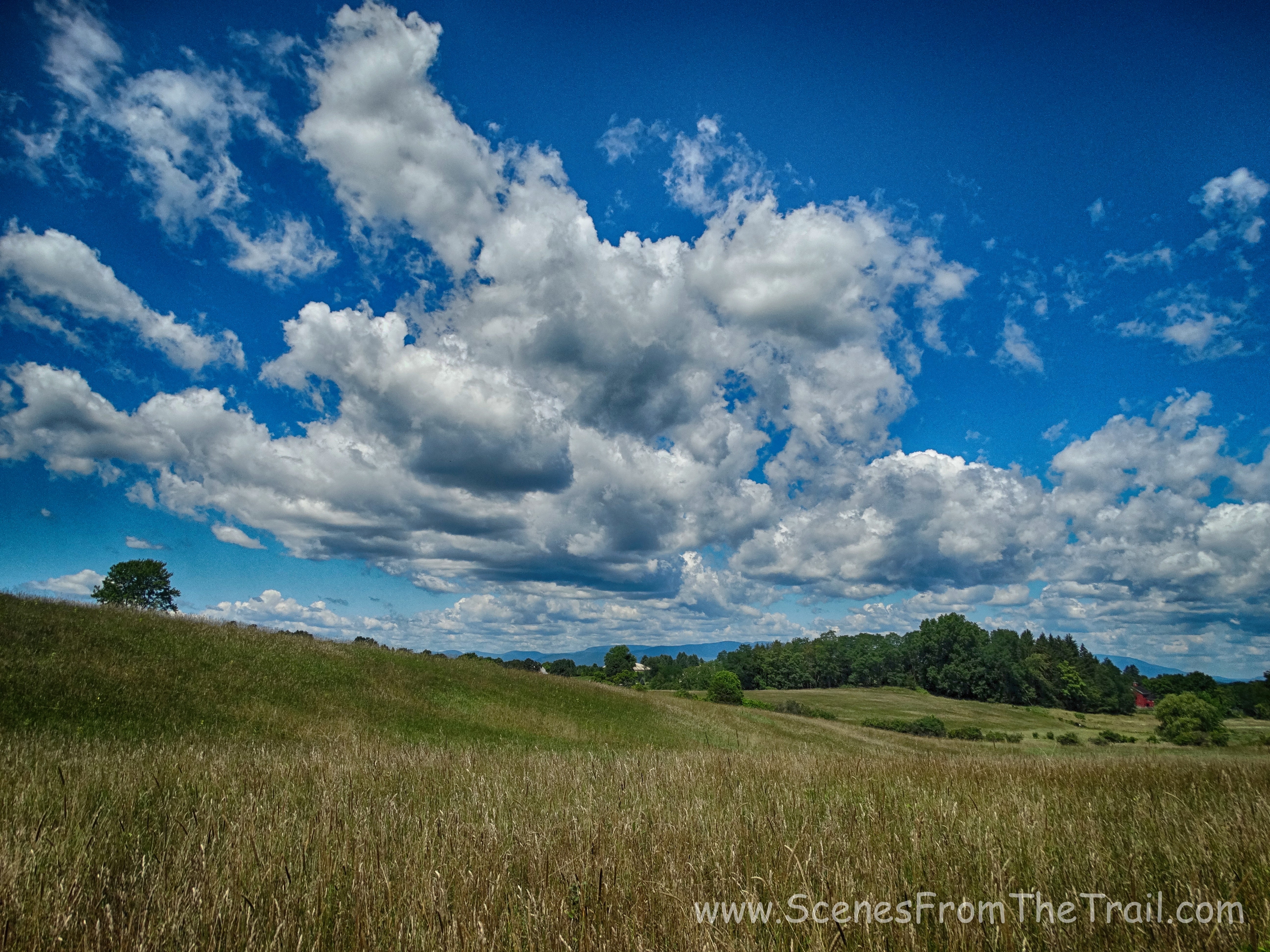 countryside