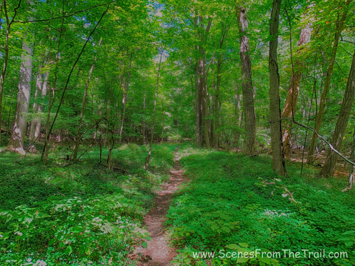 Benedict Arnold's escape route