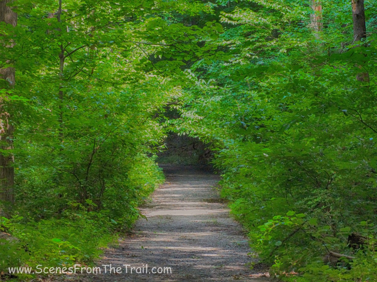 blue trail heading north