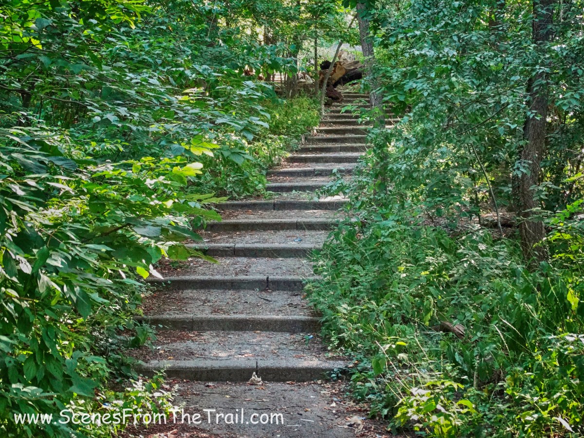 stairs on the blue trail