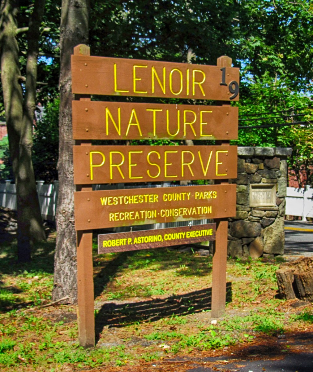 Lenoir Preserve