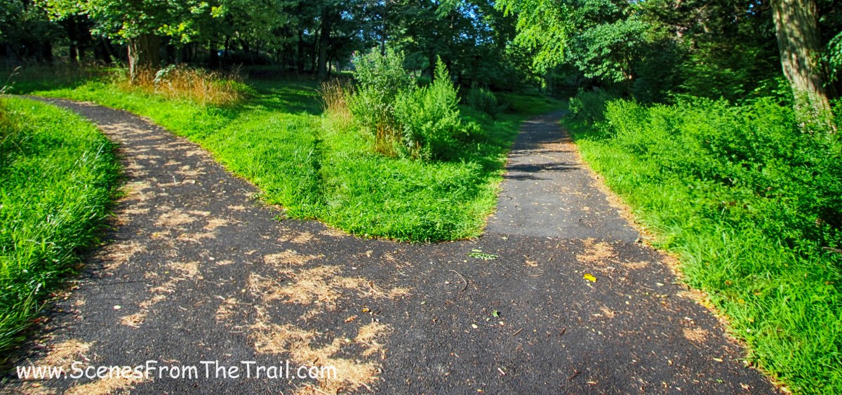 fork in the paved path