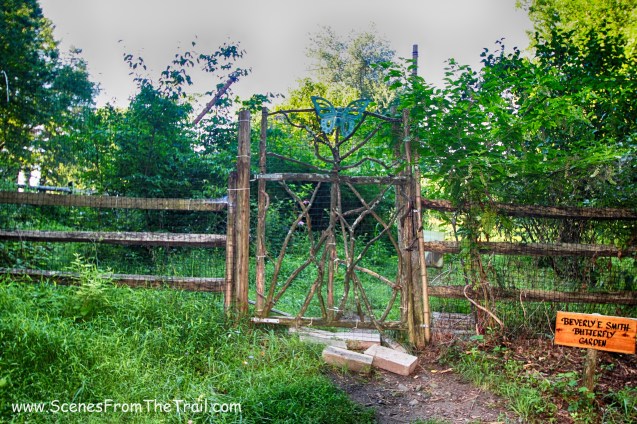 Butterfly Garden