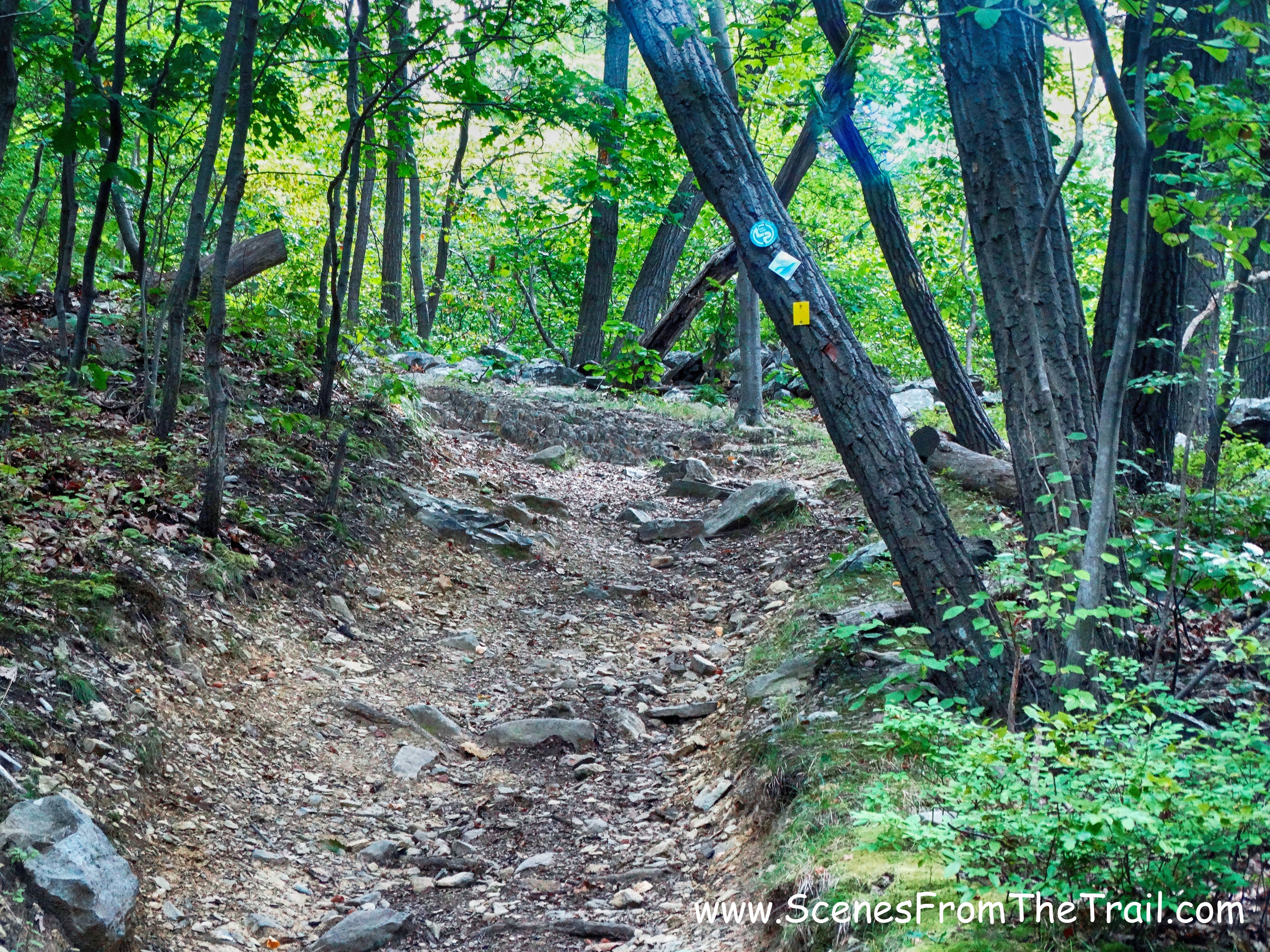 The Jessup Trail