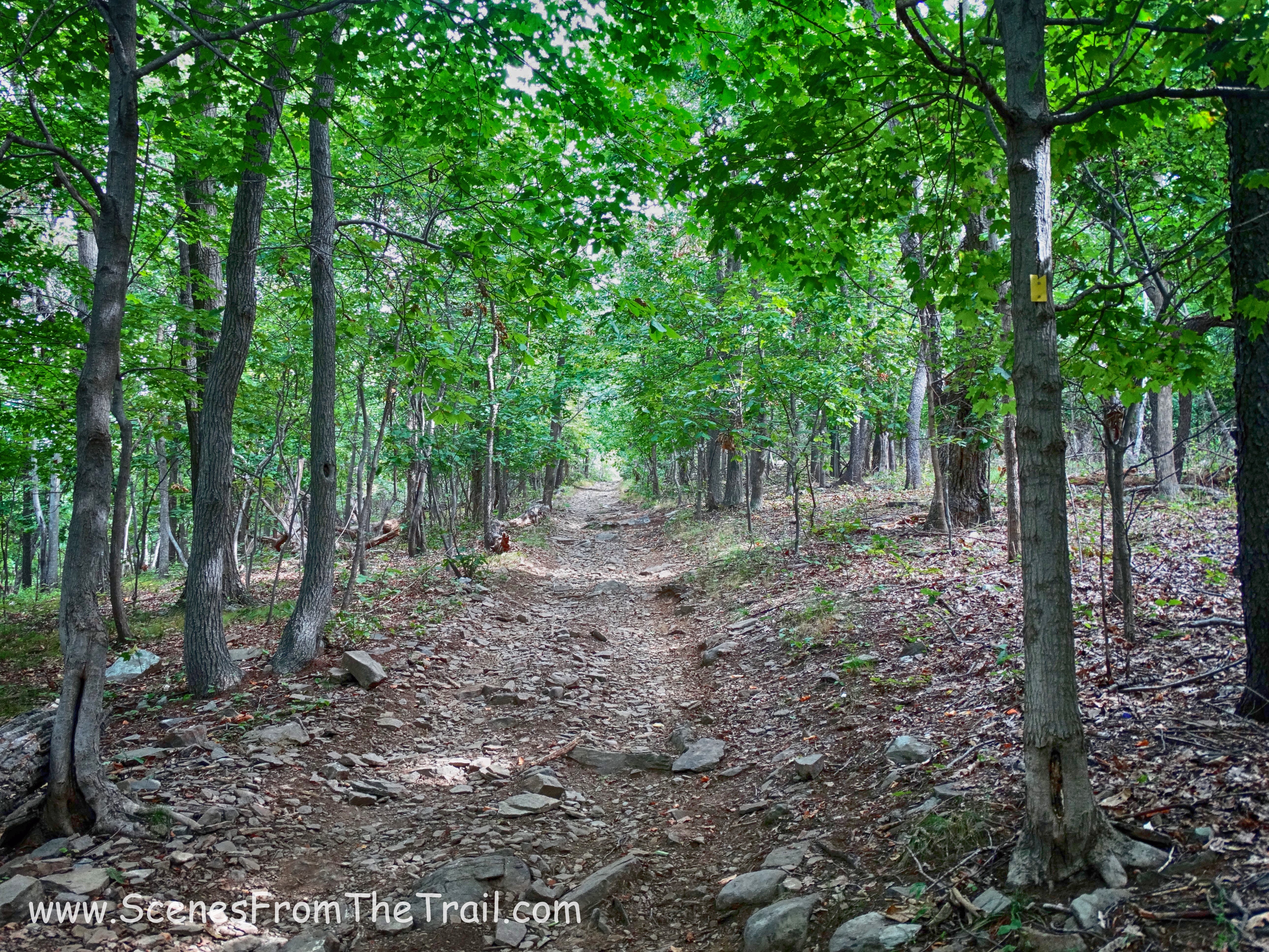 The Jessup Trail