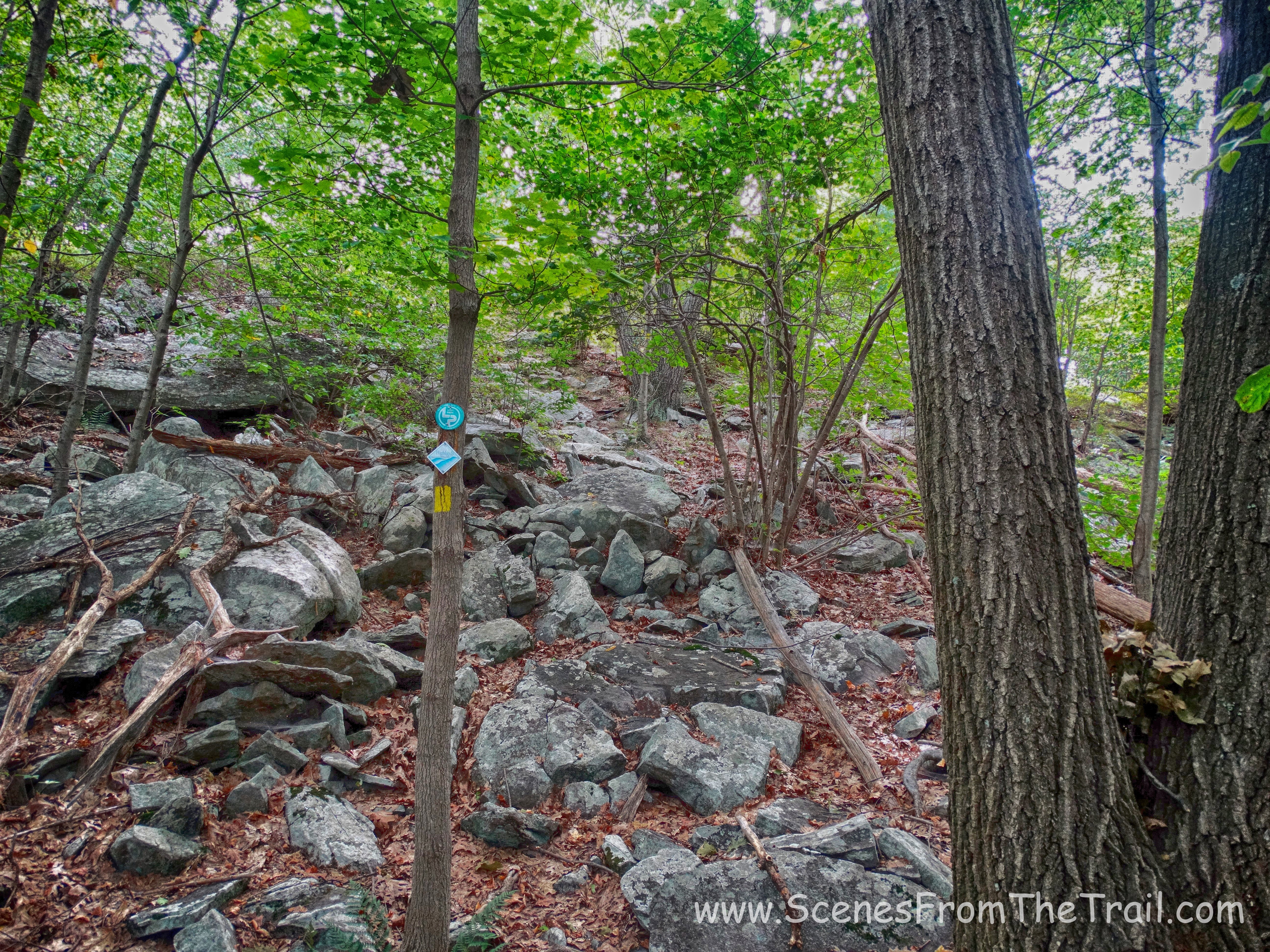 the climb out of the ravine