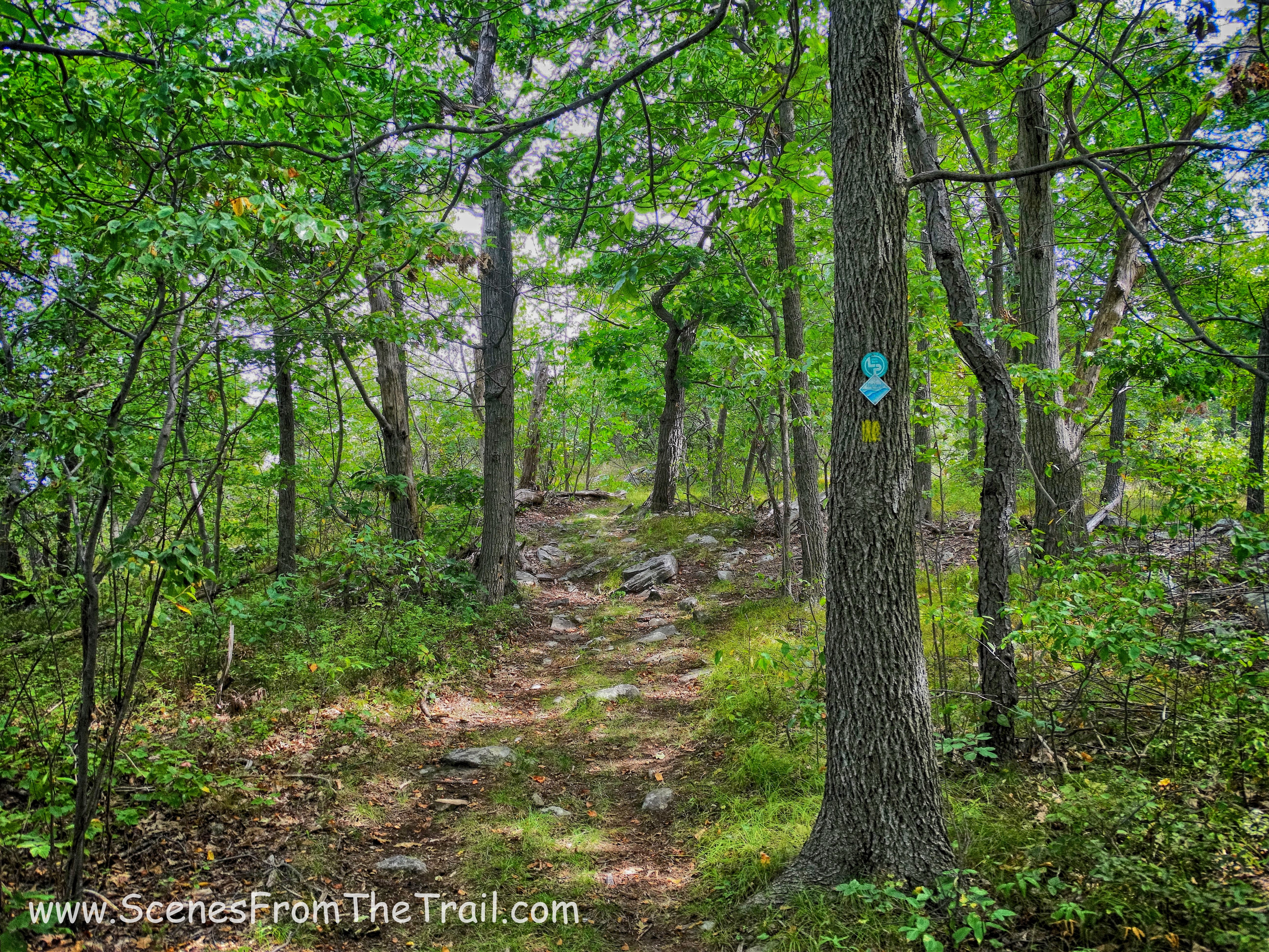 The Jessup Trail