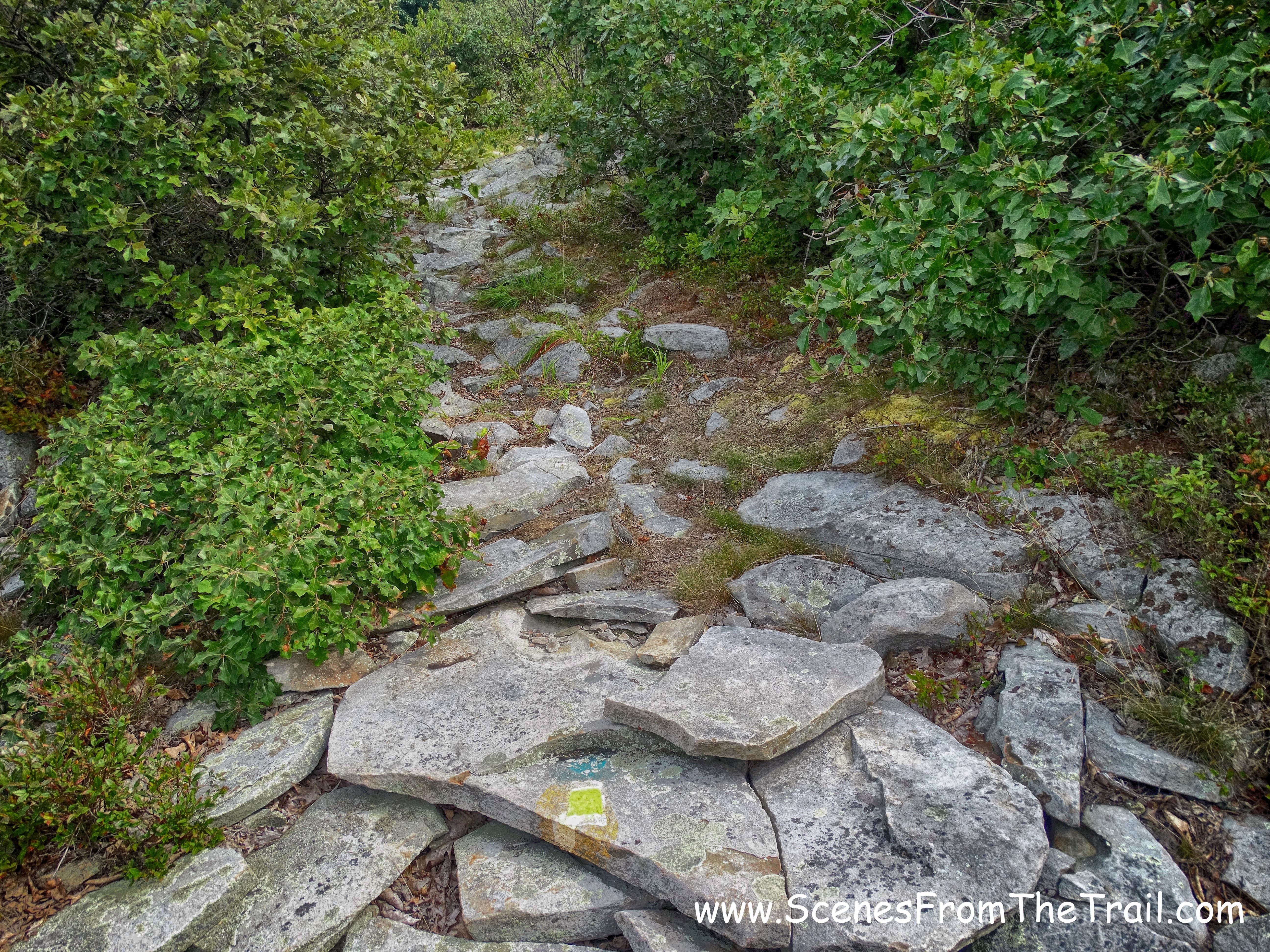 The Jessup Trail