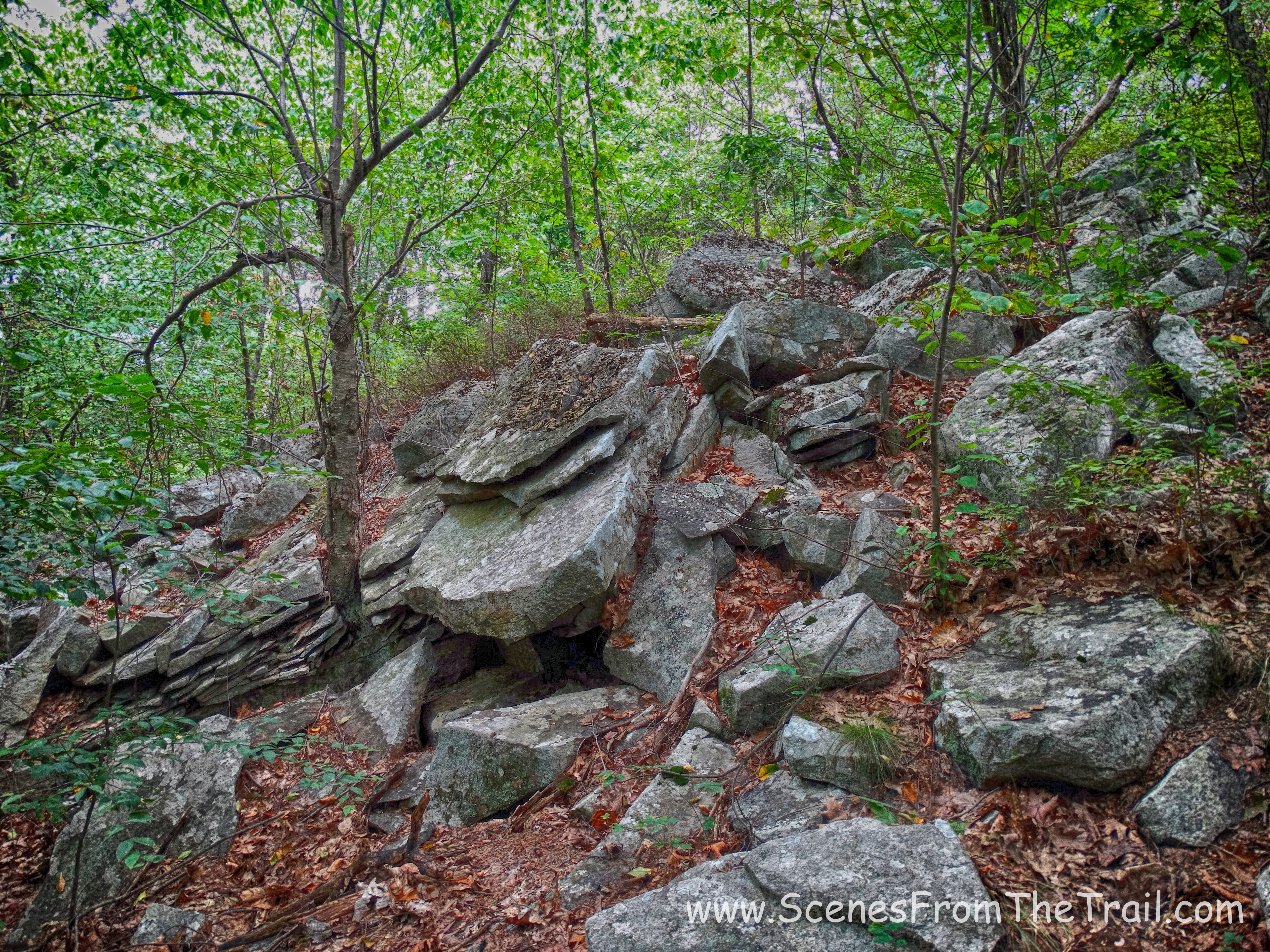 The Jessup Trail