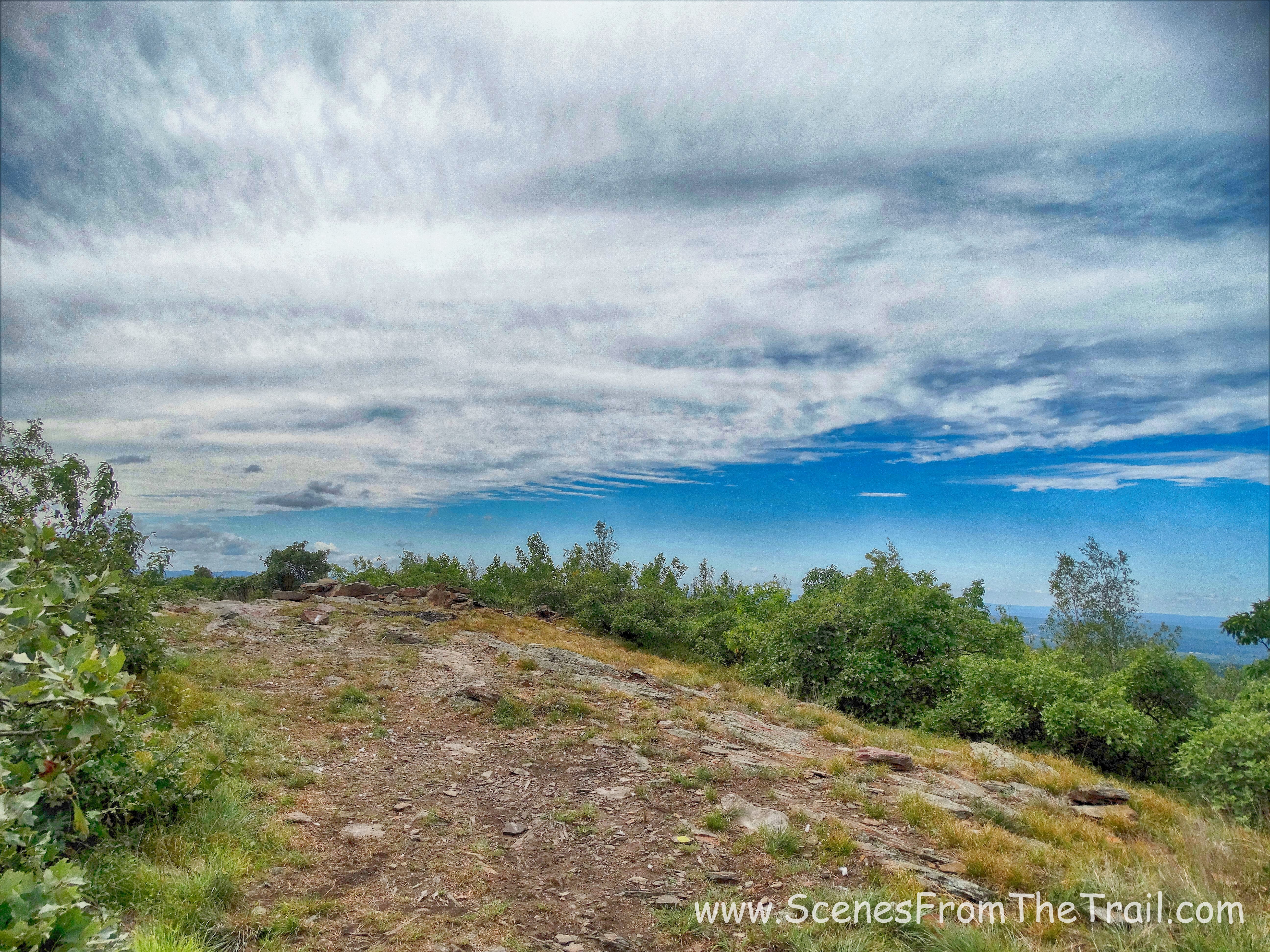 The Jessup Trail
