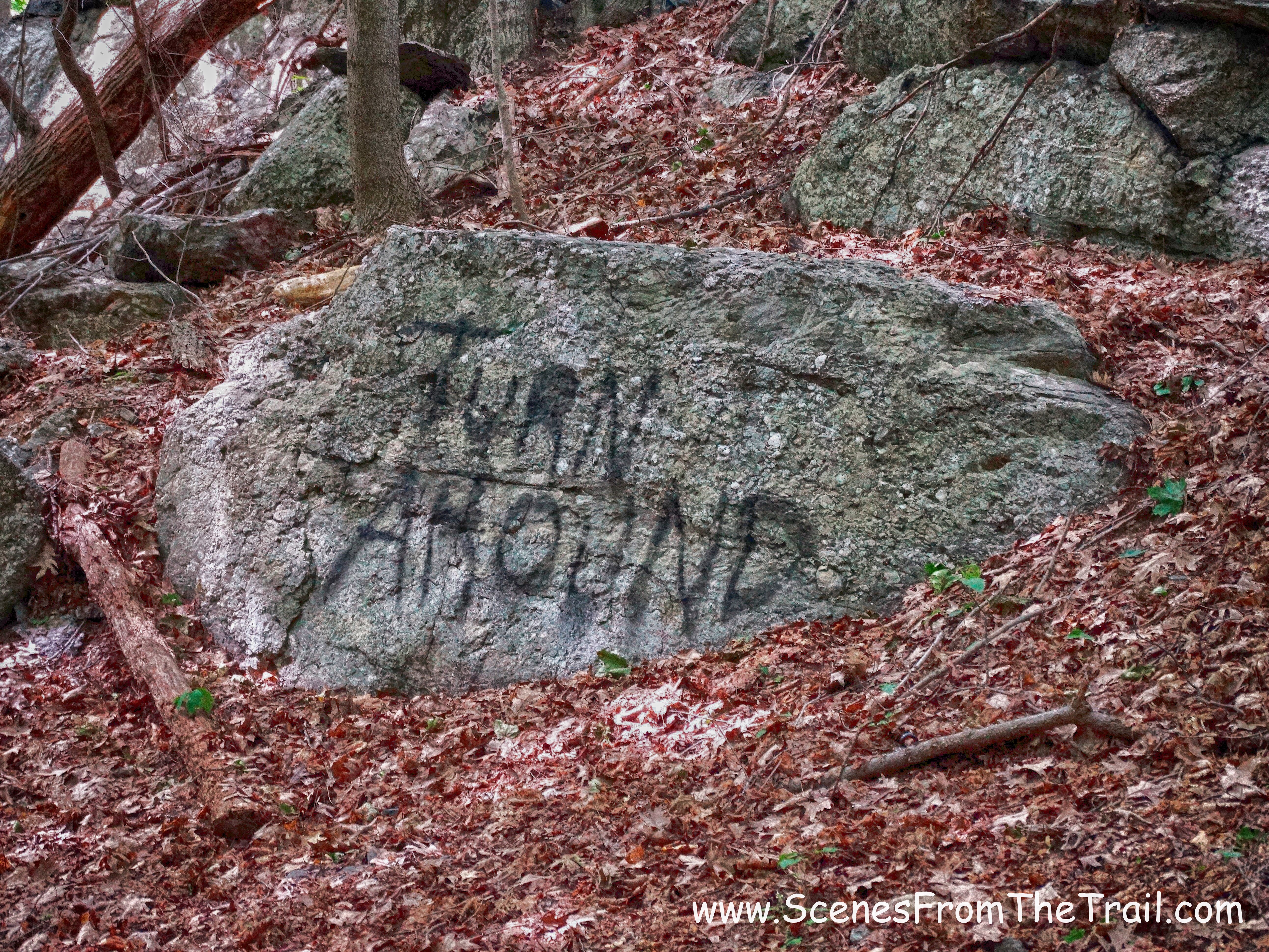 graffitti rock