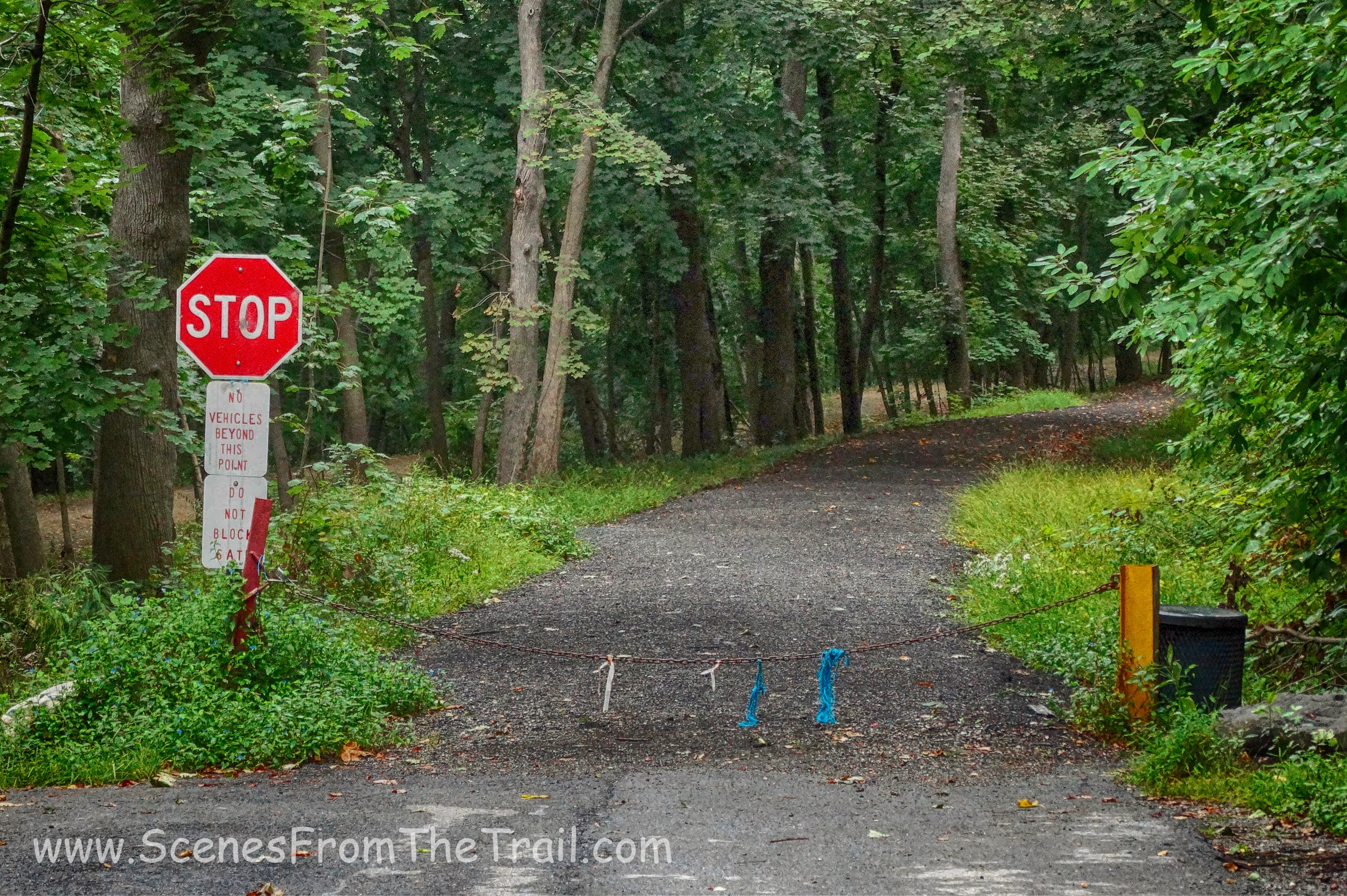 Gory Brook Road