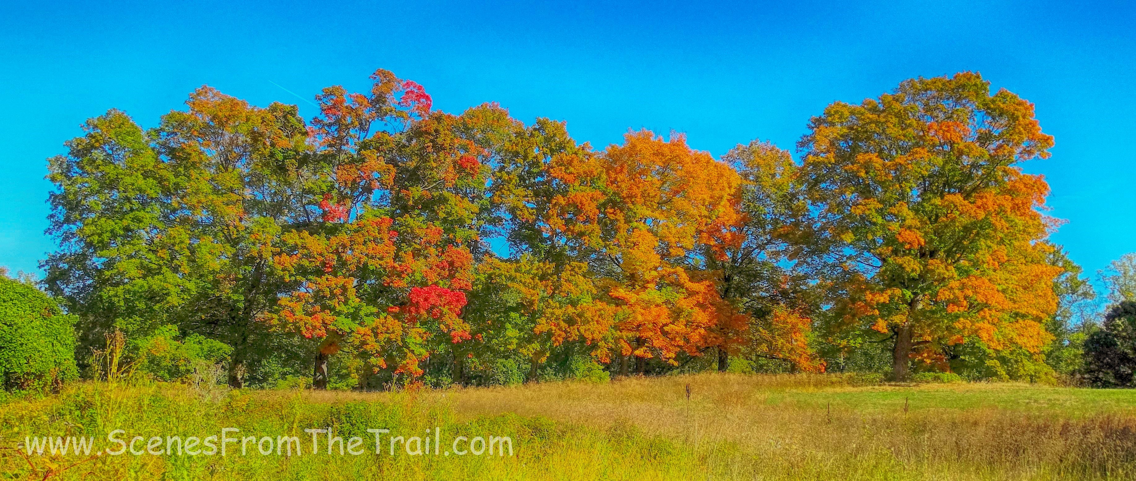 Upper Trail