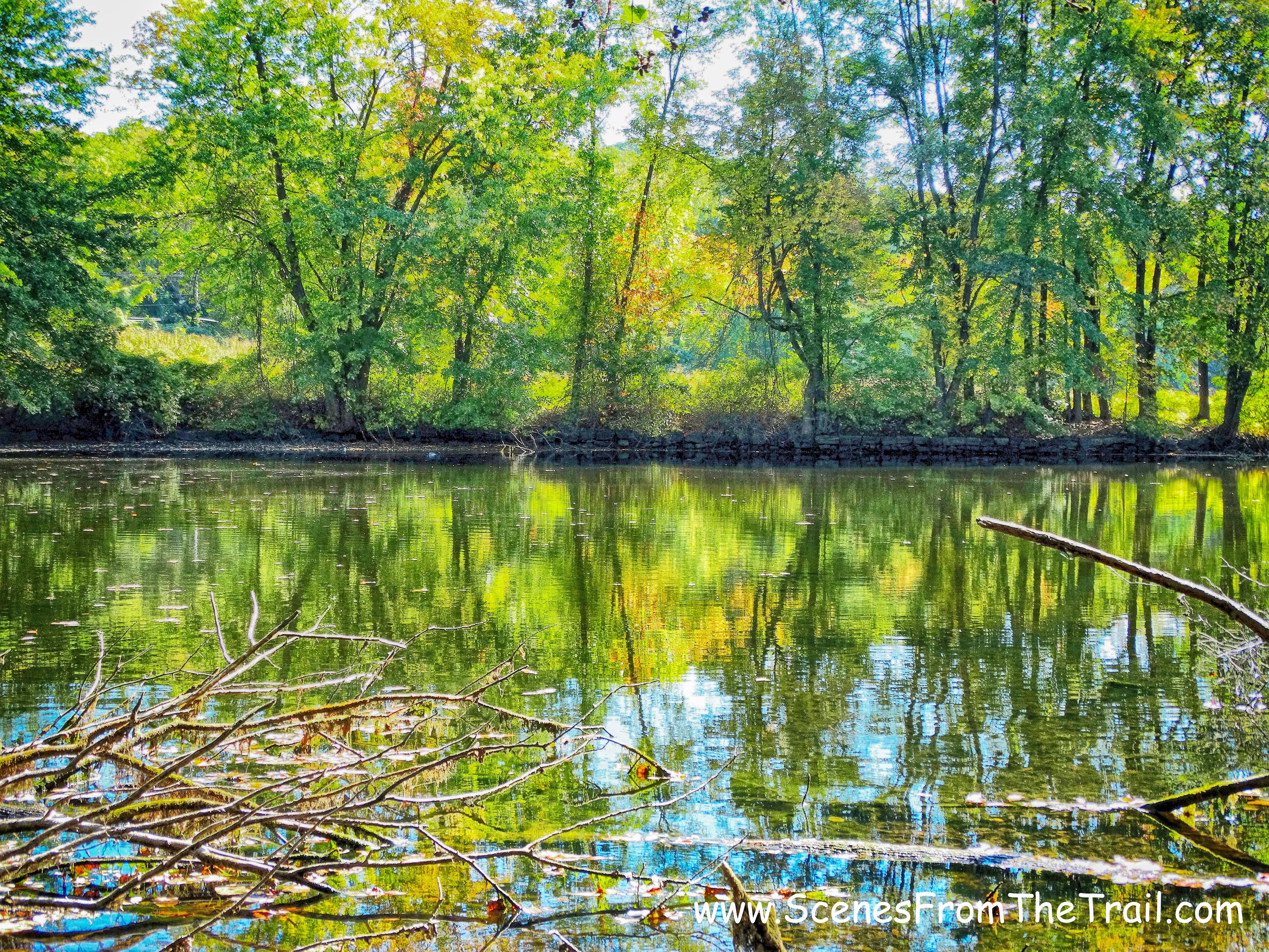 pond