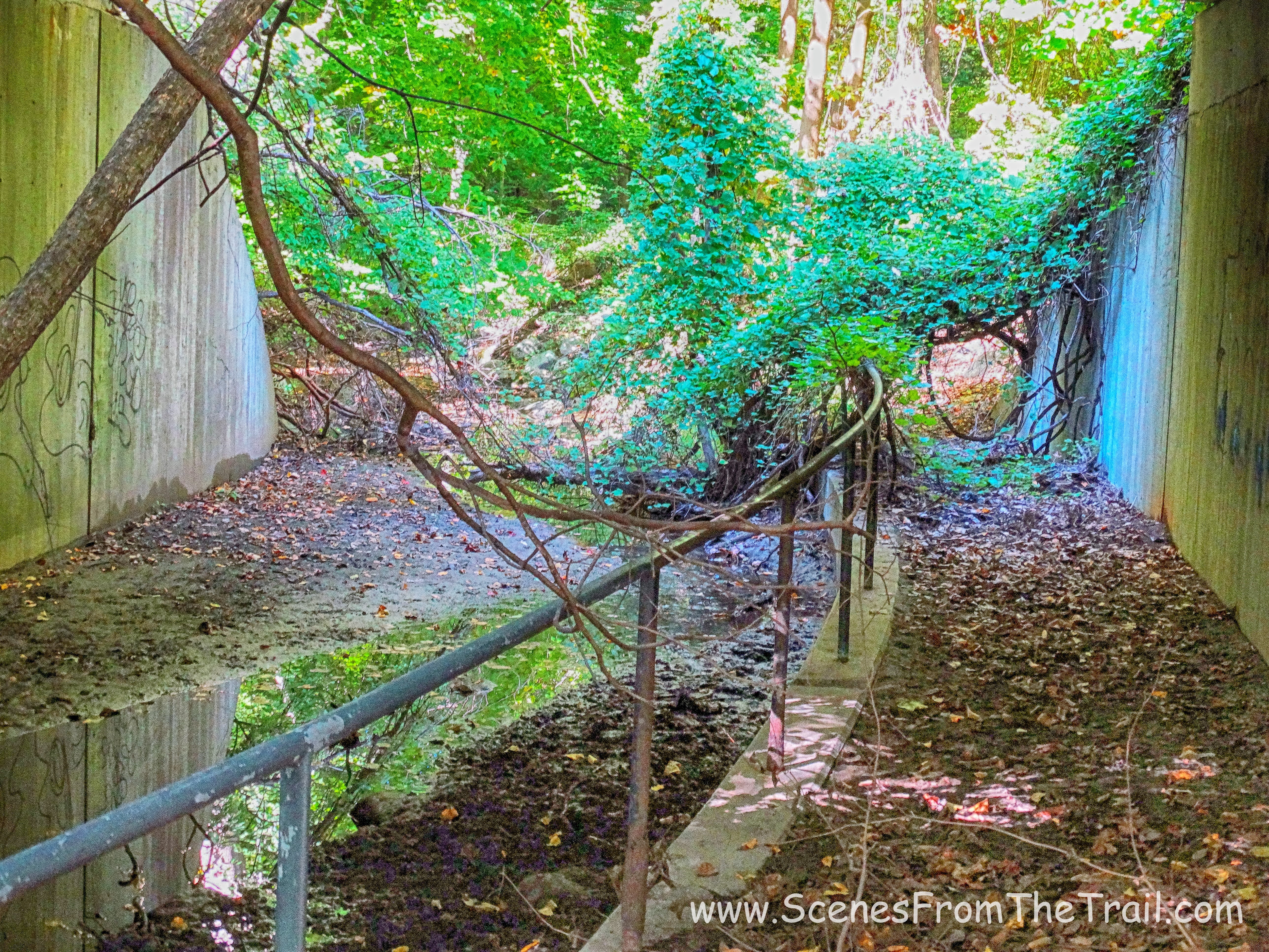 Rockwood Hall Brook