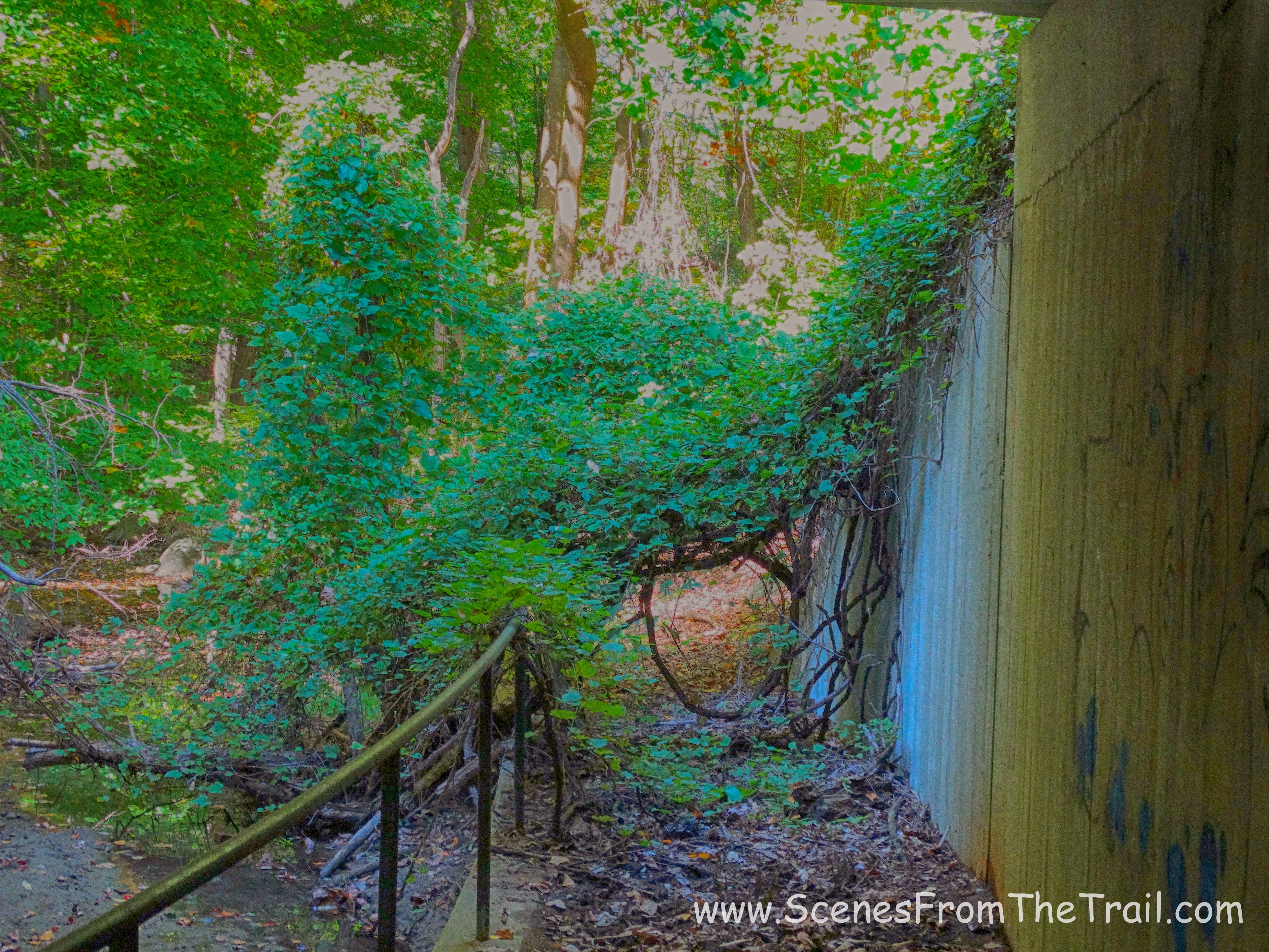 Rockwood Hall Brook