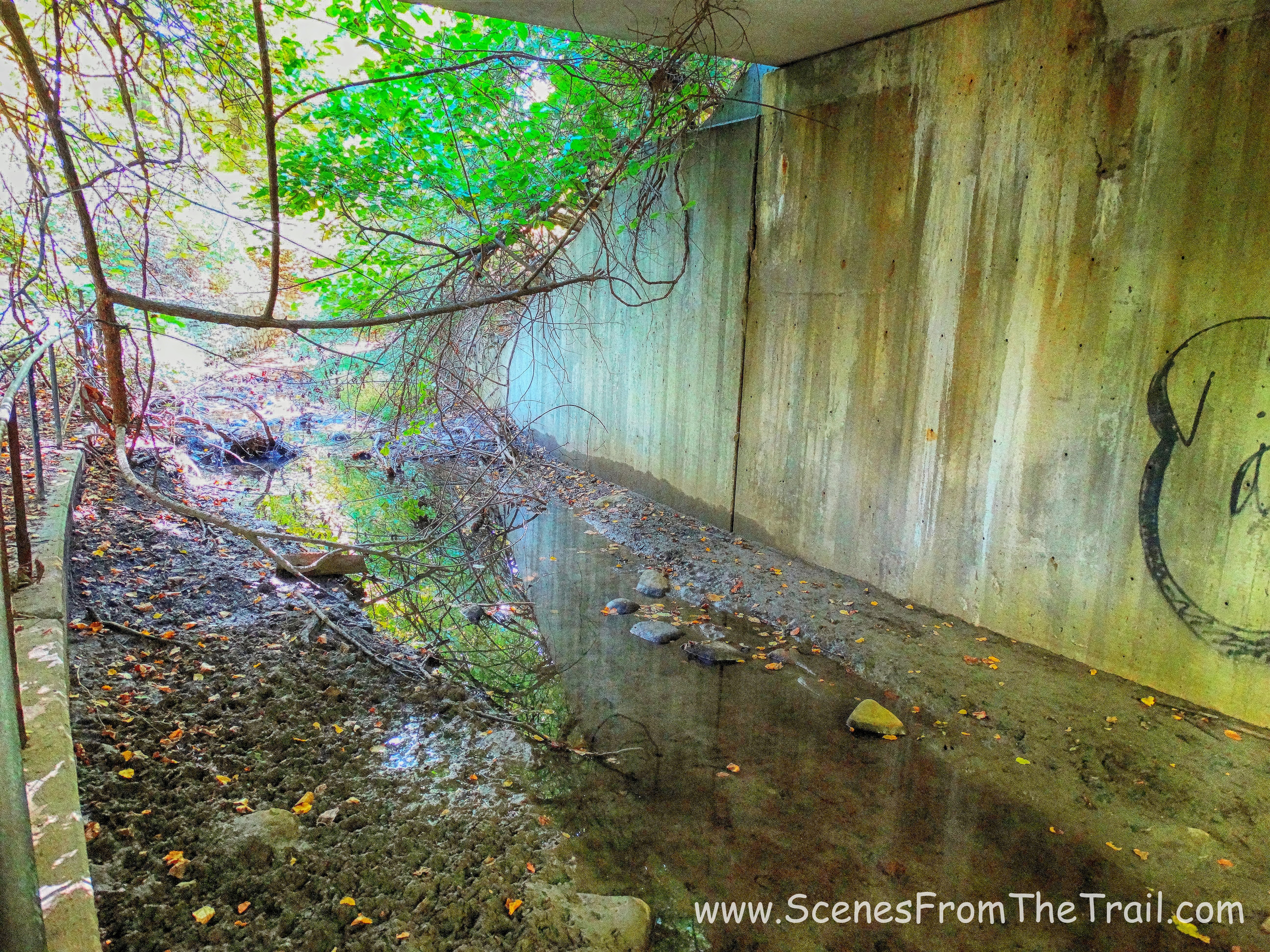 Rockwood Hall Brook