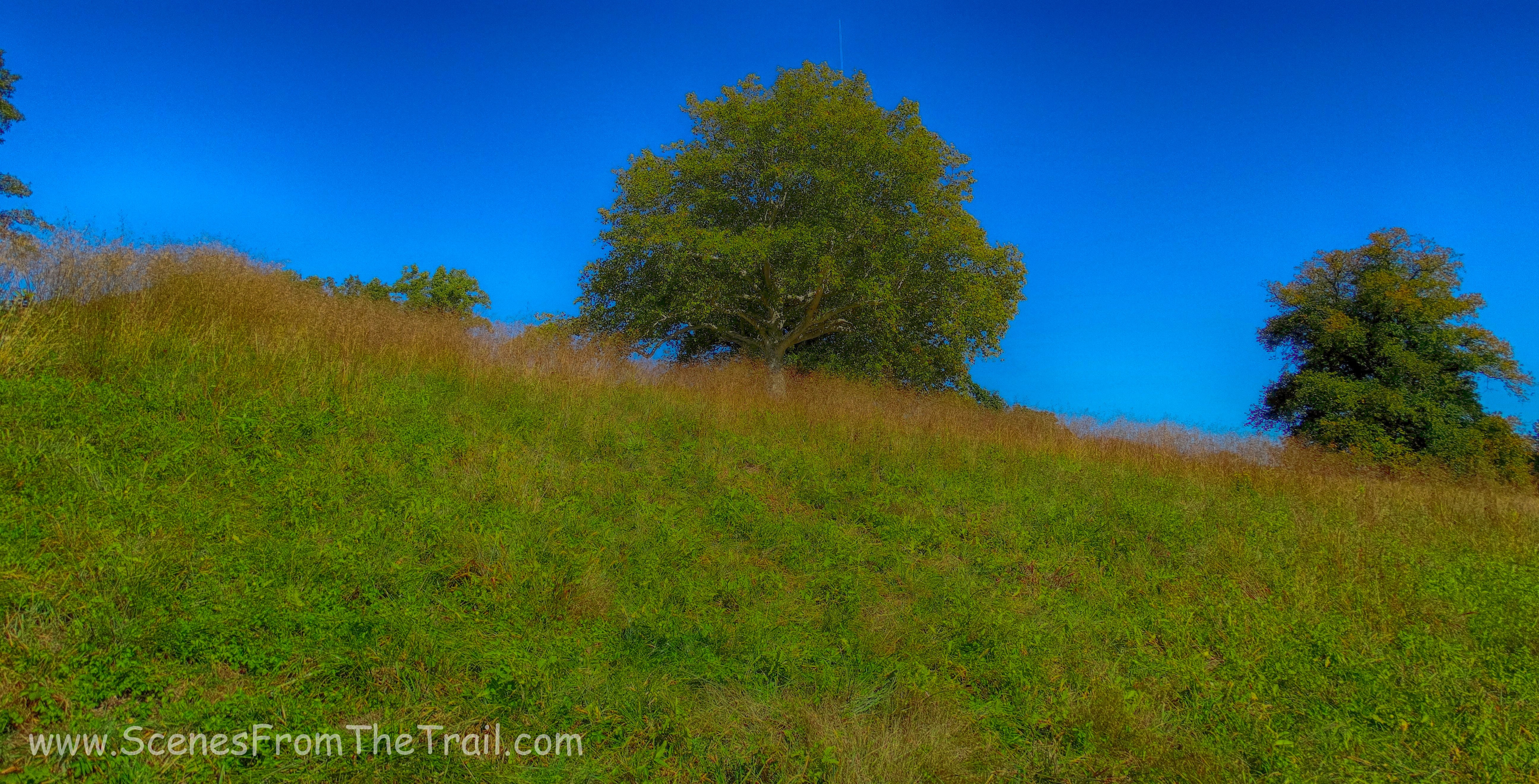 laughing hill