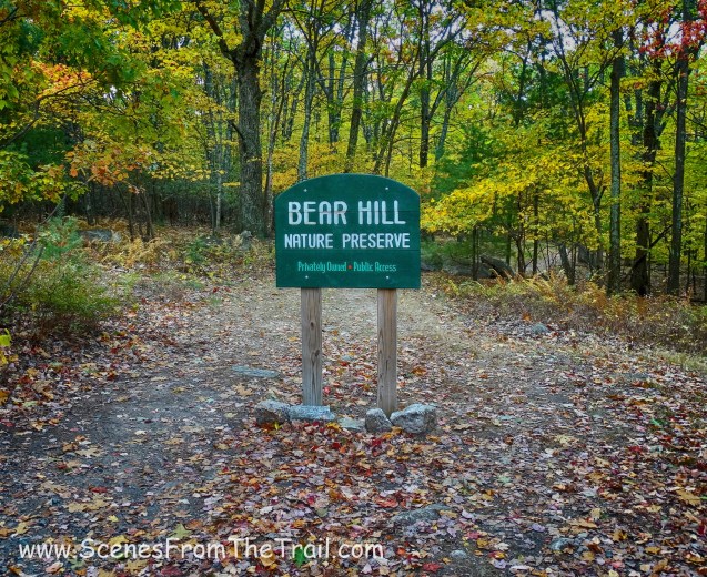 Bear Hill Nature Preserve