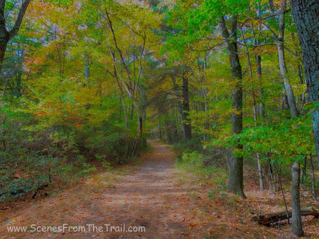 main trail - Bear Hill Nature Preserve