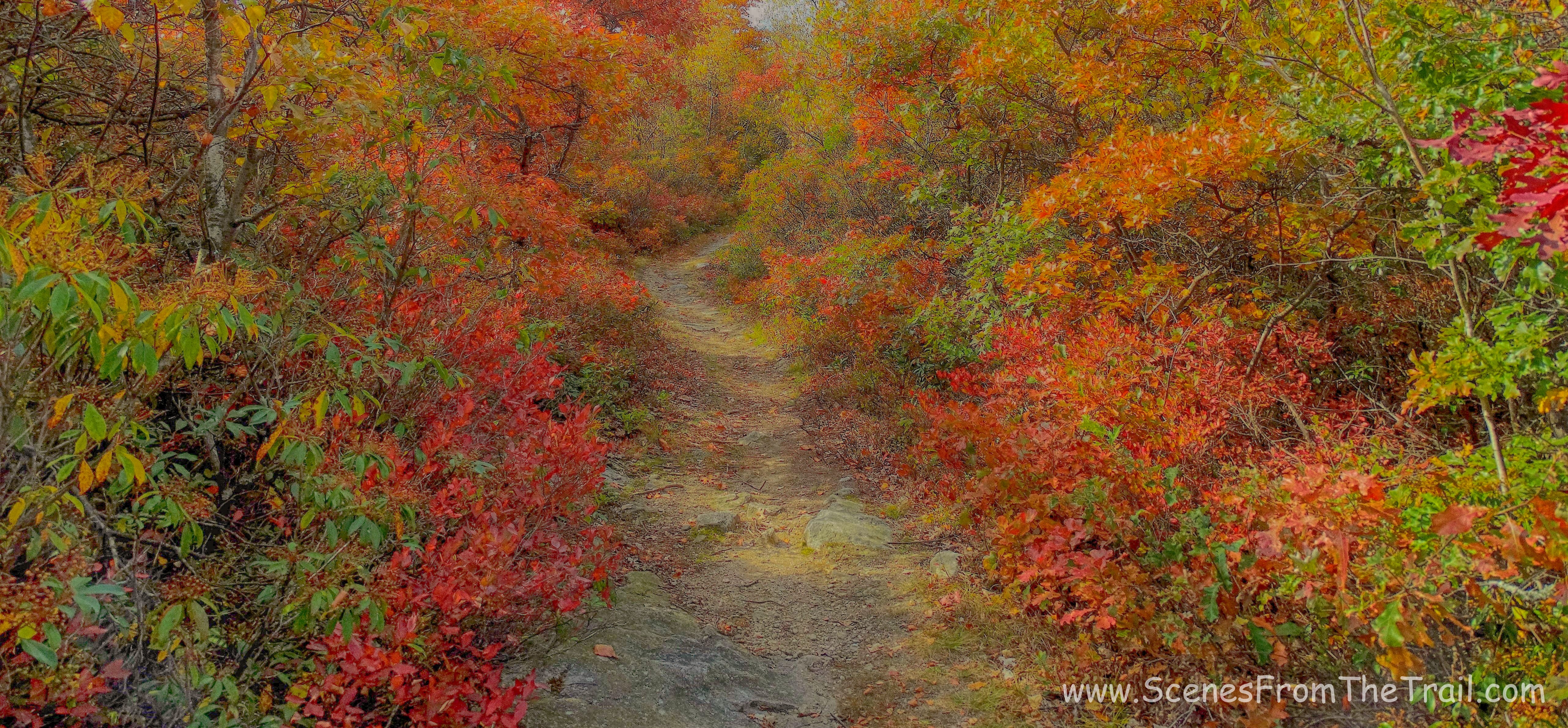 side trail