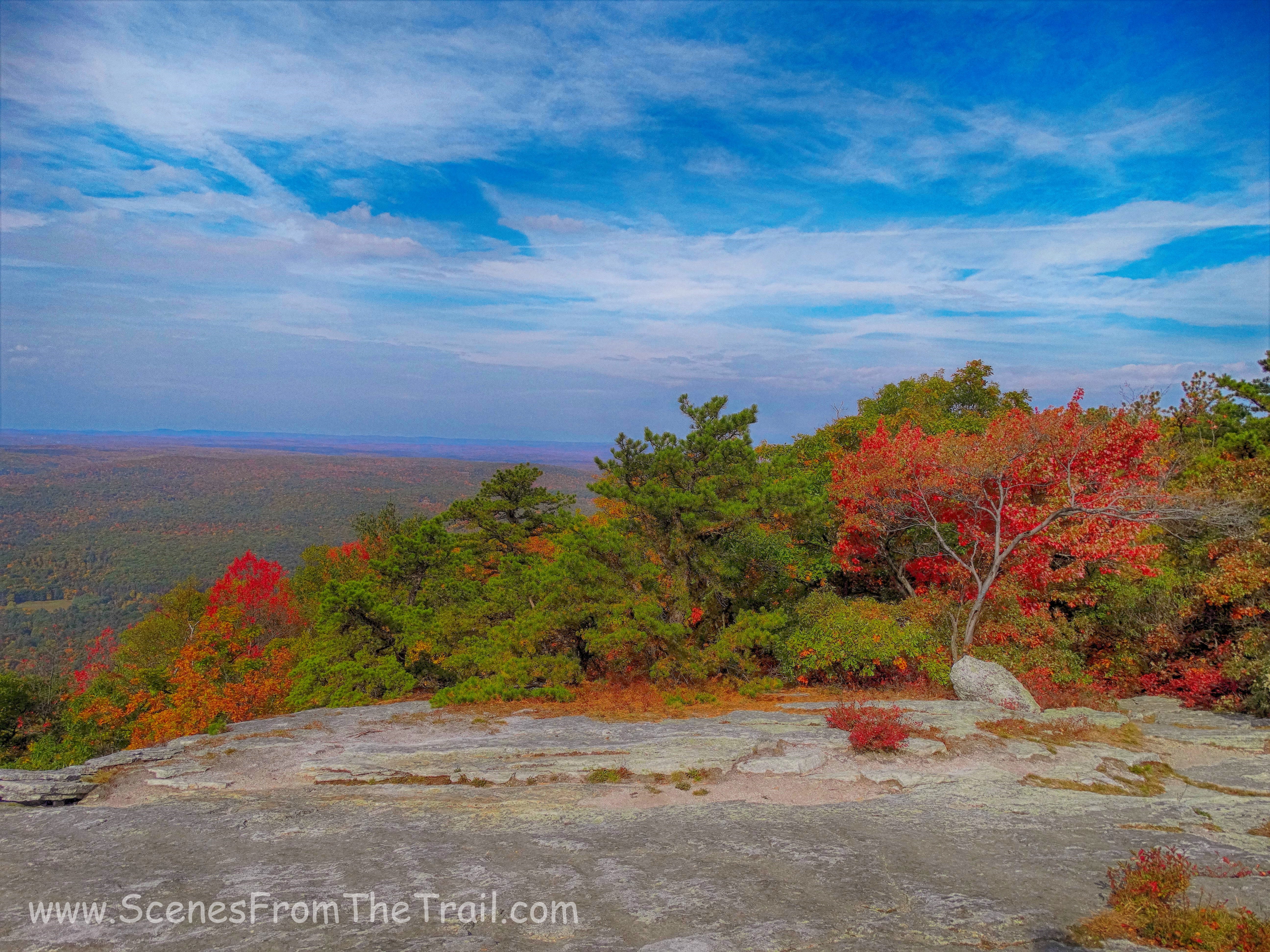 Bear Hill Nature Preserve