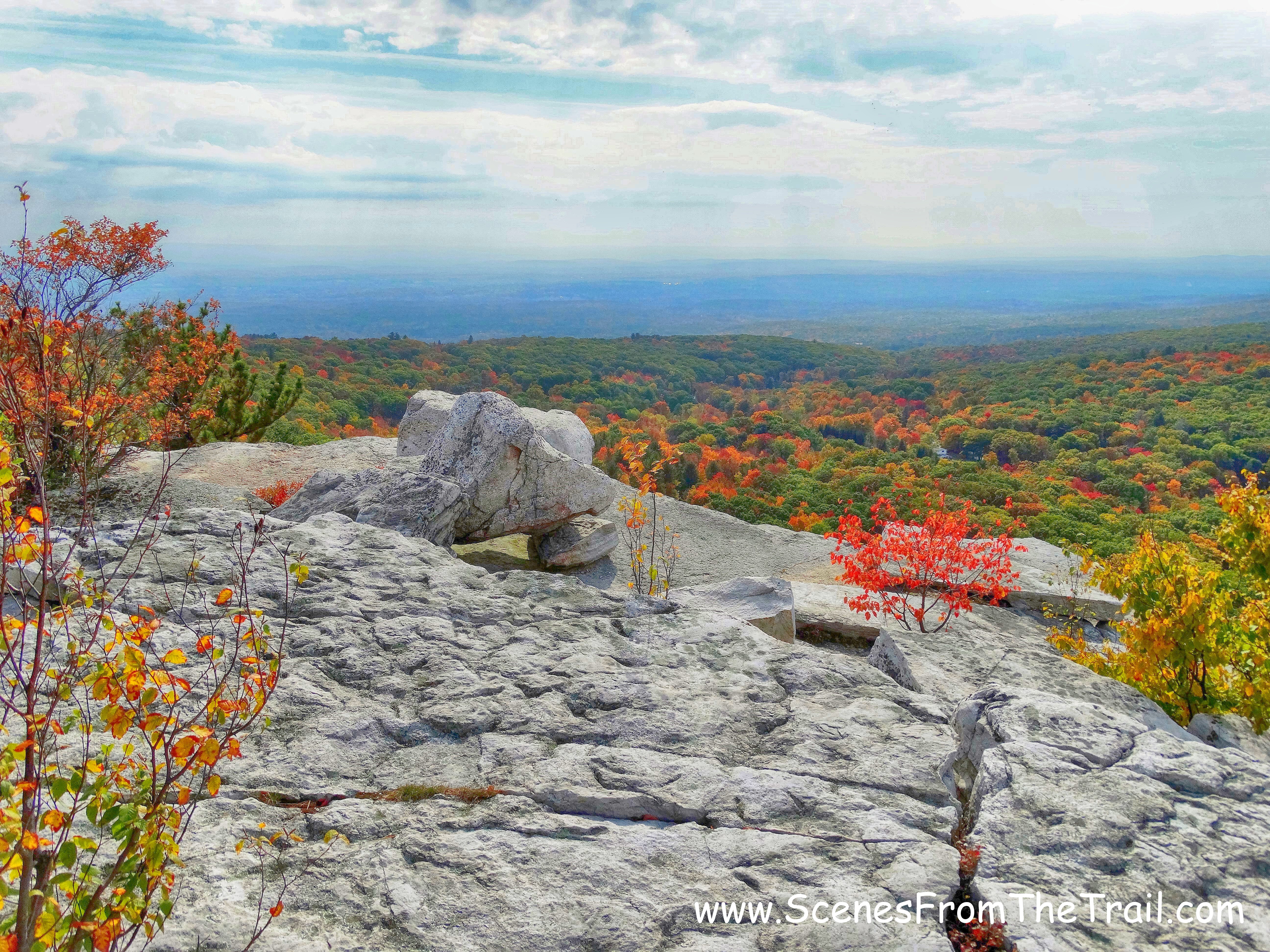 Bear Hill Nature Preserve