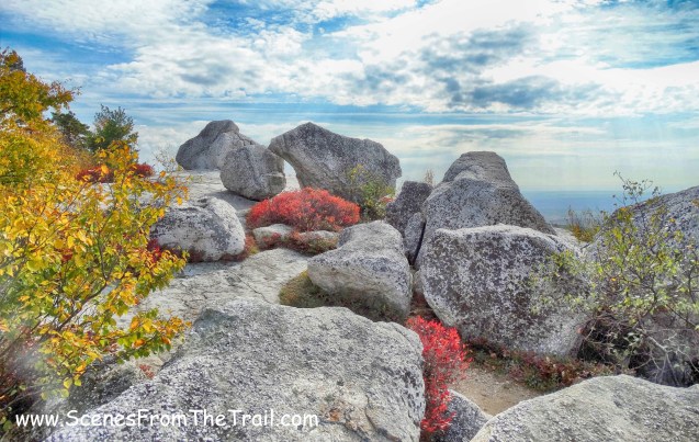 Bear Hill Nature Preserve