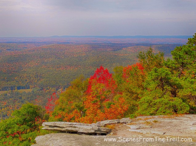 Bear Hill Nature Preserve
