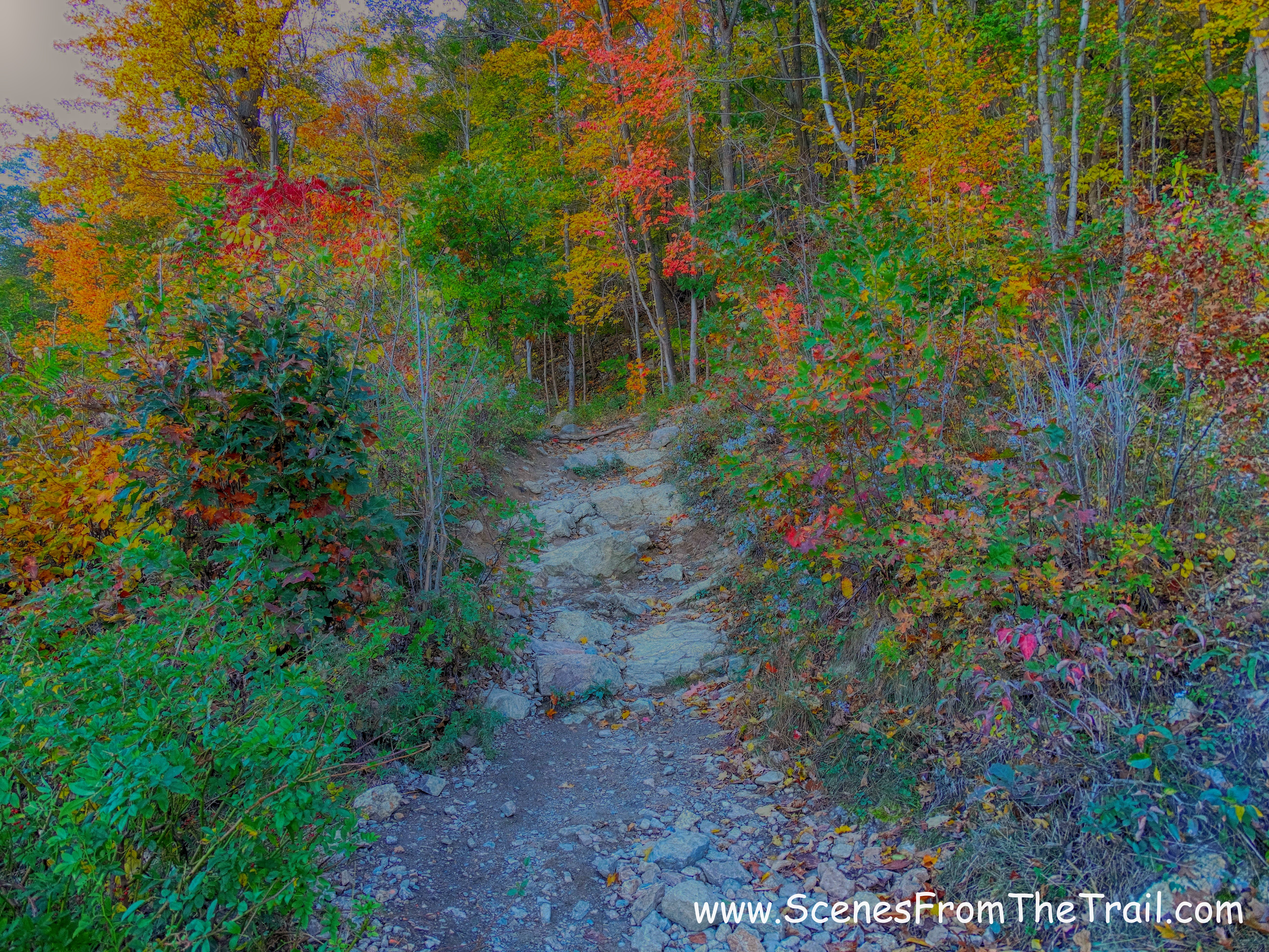Casino Trail