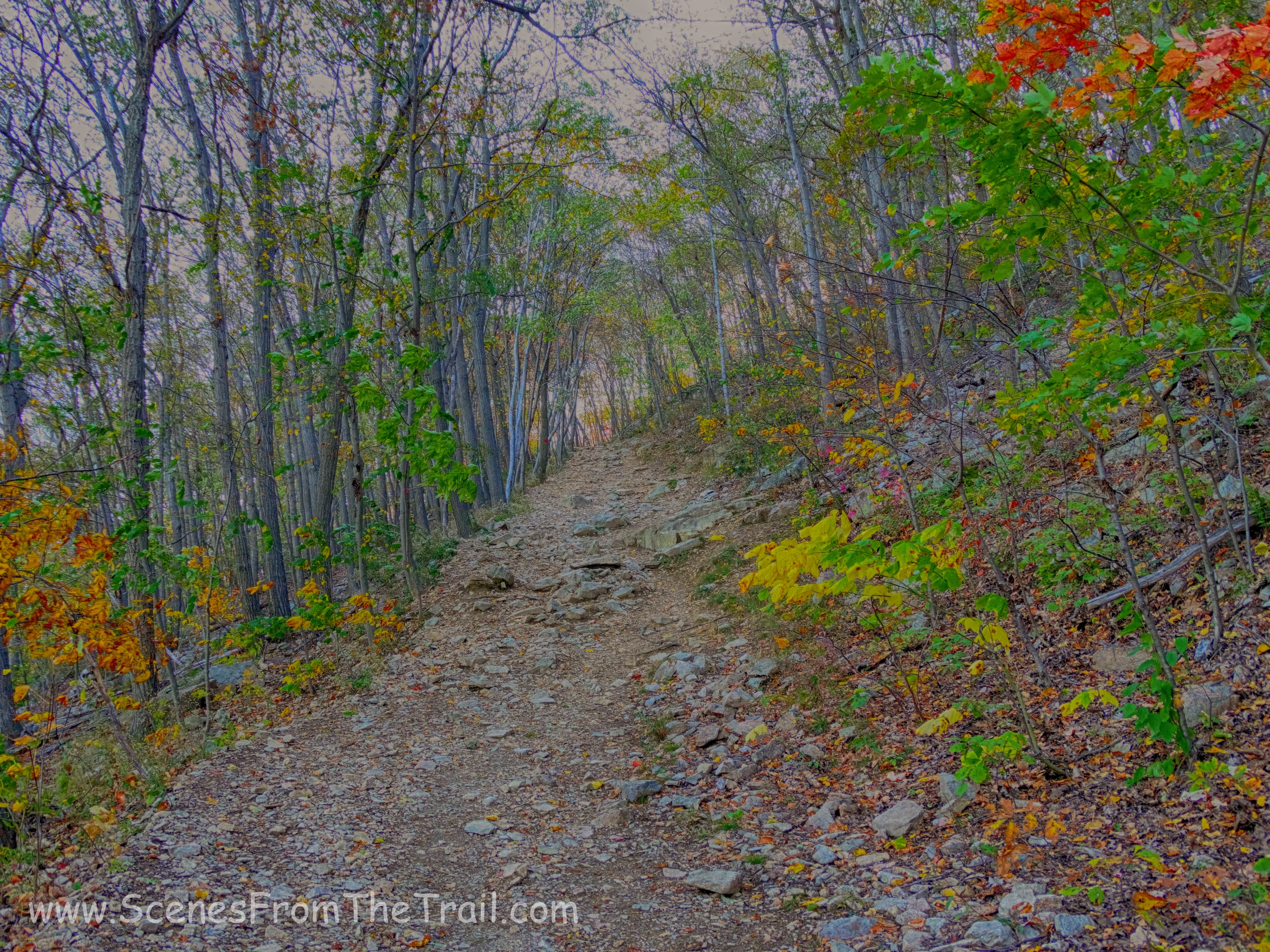Casino Trail