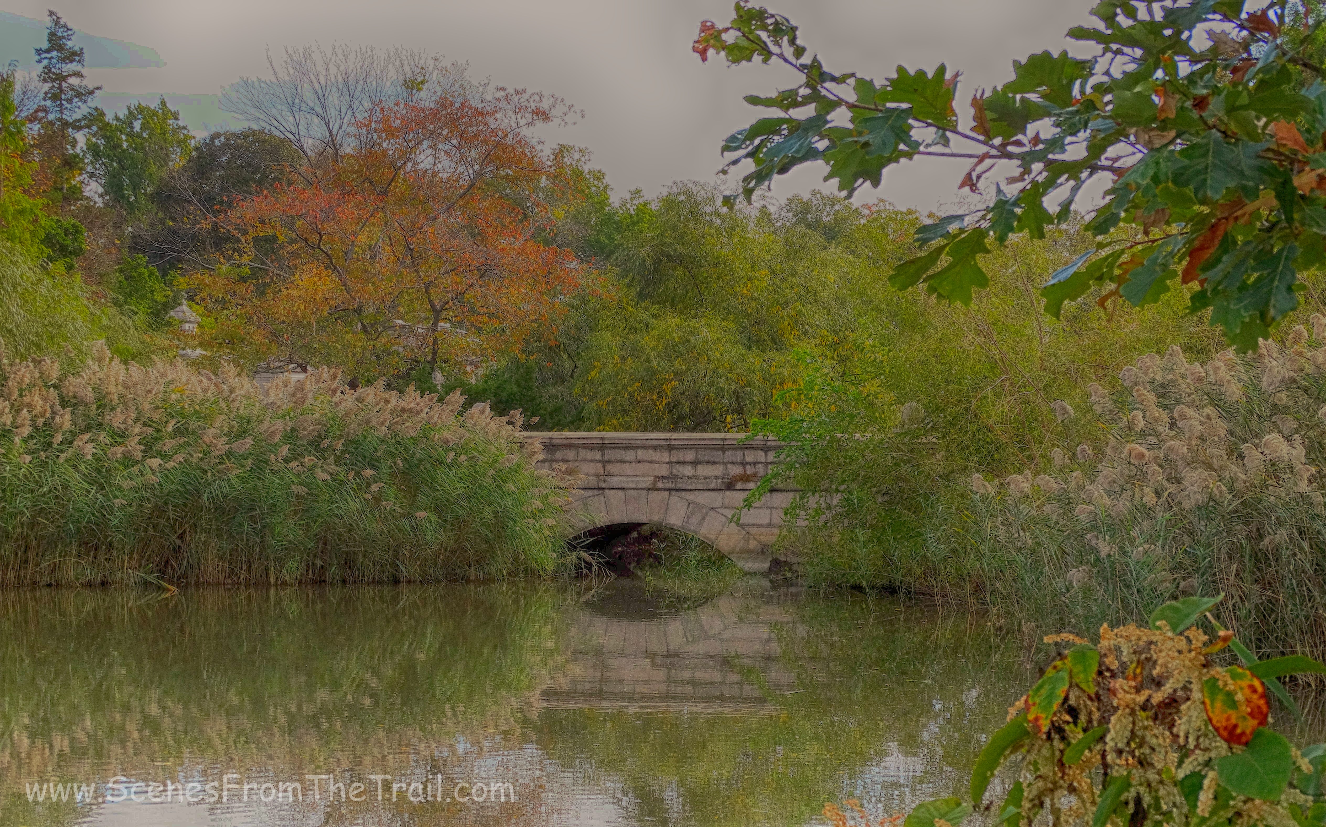 stone bridge